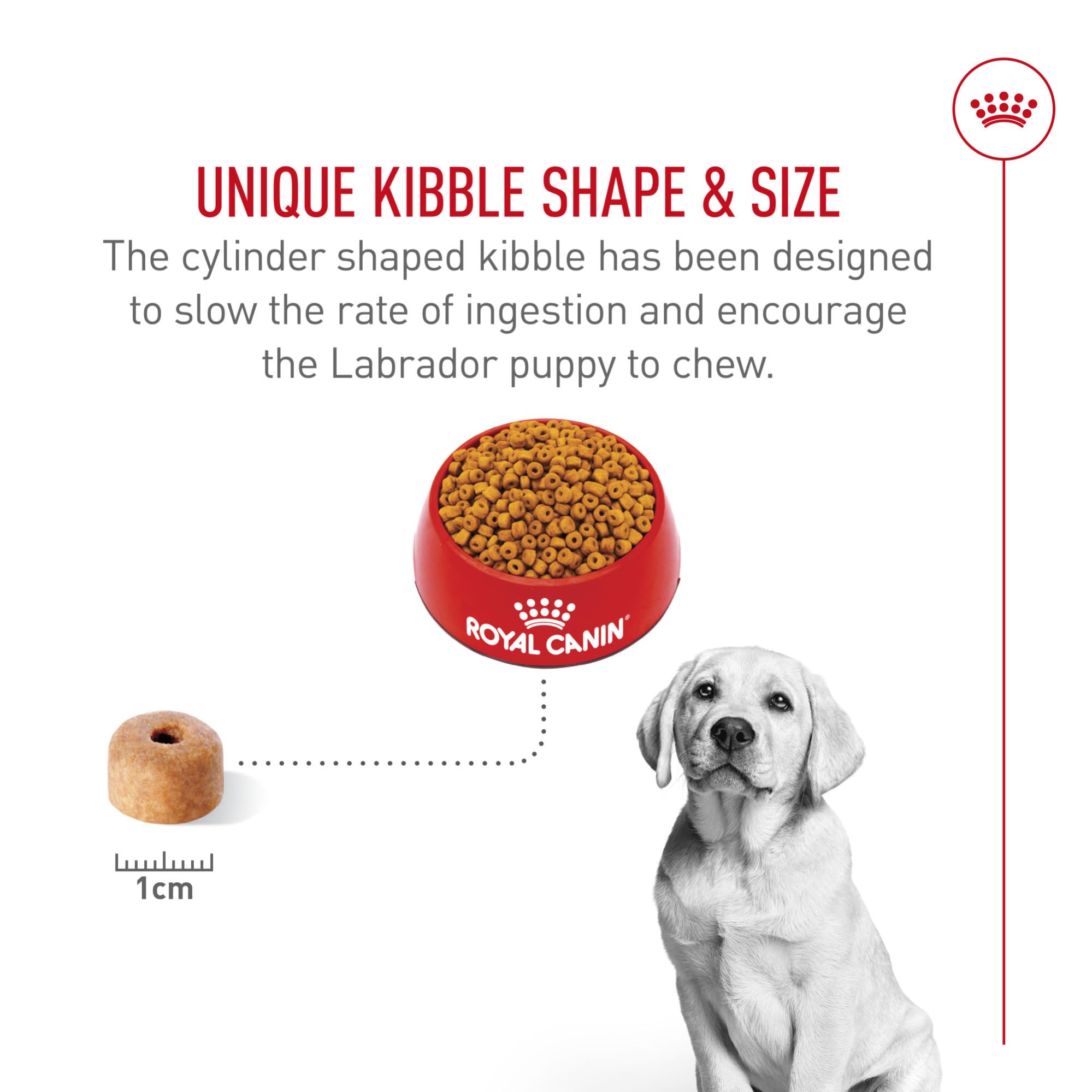 Royal Canin Breed Health Nutrition Labrador Retriever Puppy Dry Dog Food, 30 lb.