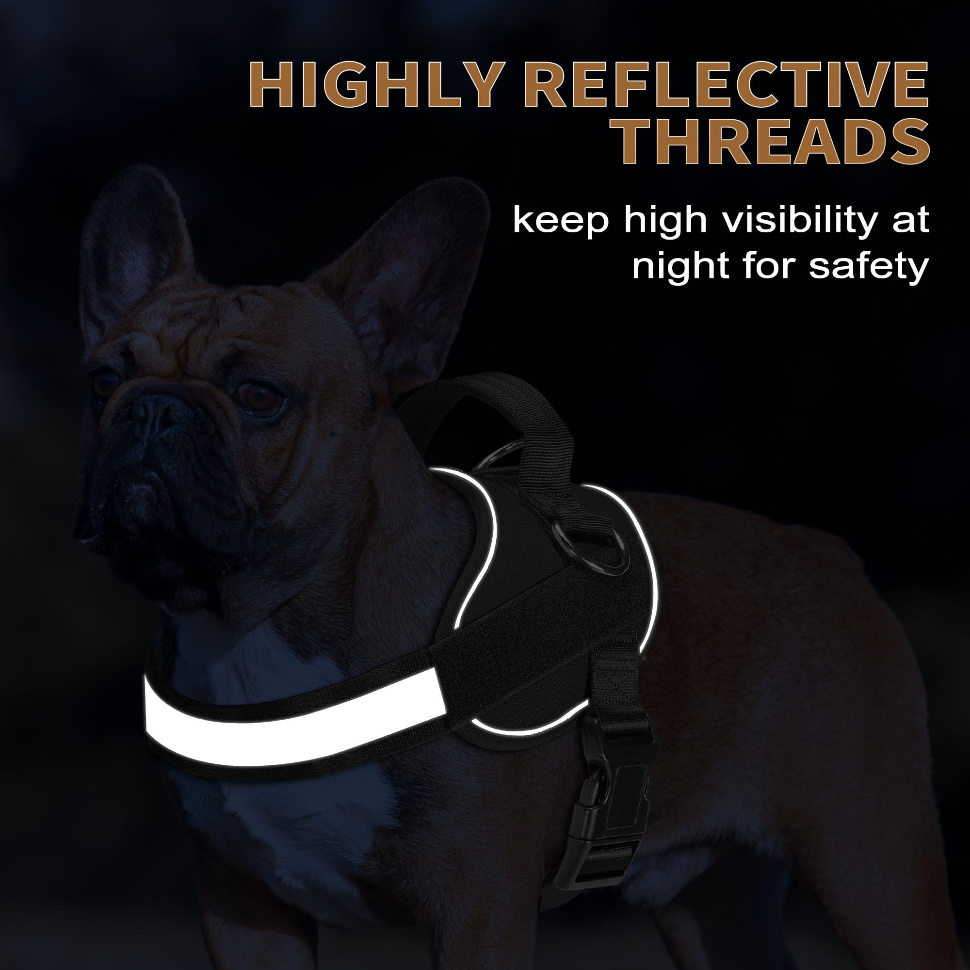 Haapaw Essential Dog Harness, No Pull Pet Vest with 3 Leash Clips, No Choke, Reflective, Adjustable and Padded, for Easy Walking