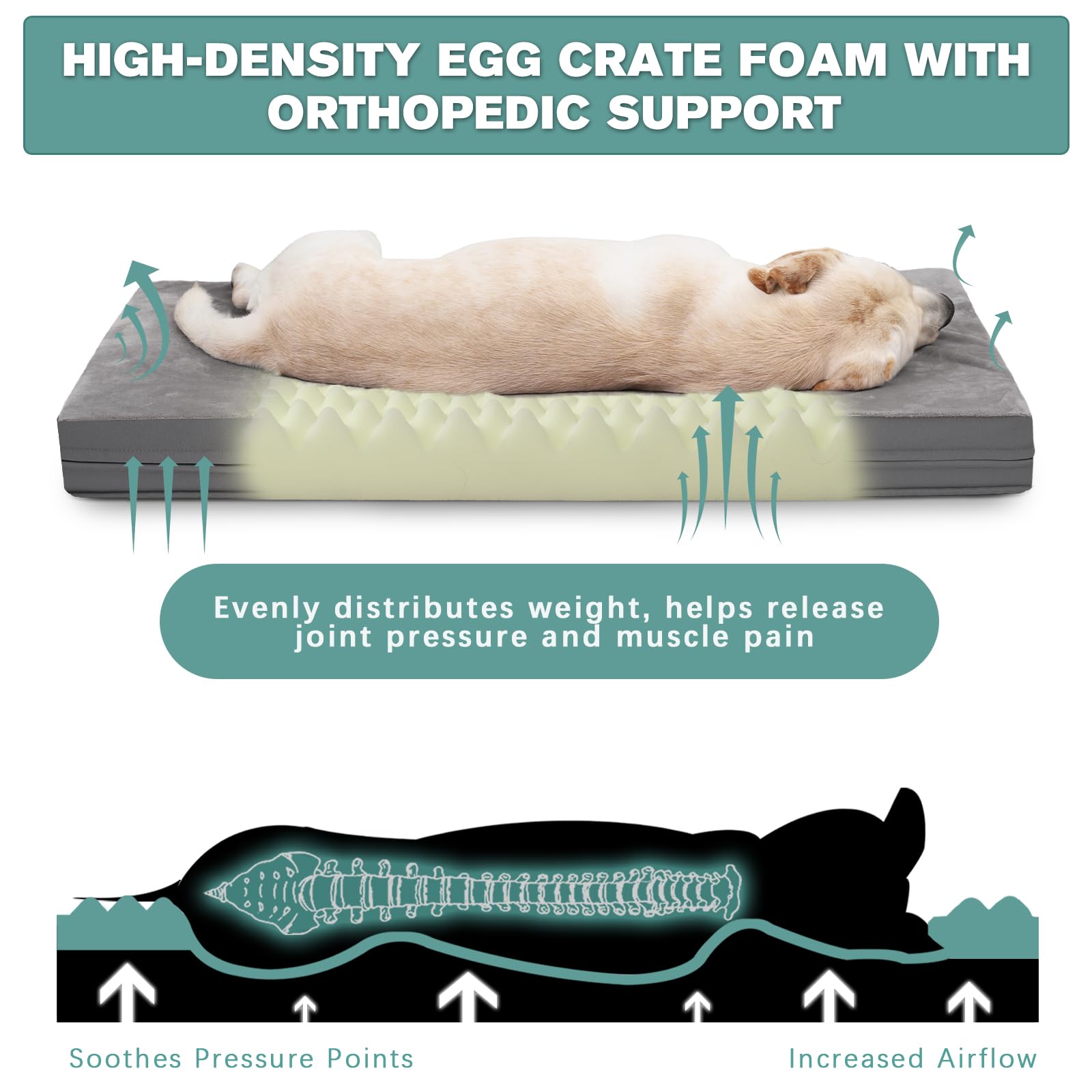 Waterproof Dog Beds Large Sized Dog, Washable Orthopedic Dog Bed With Removable Cover Reversible, Foam Pet Bed Anti-Slip Bottom,