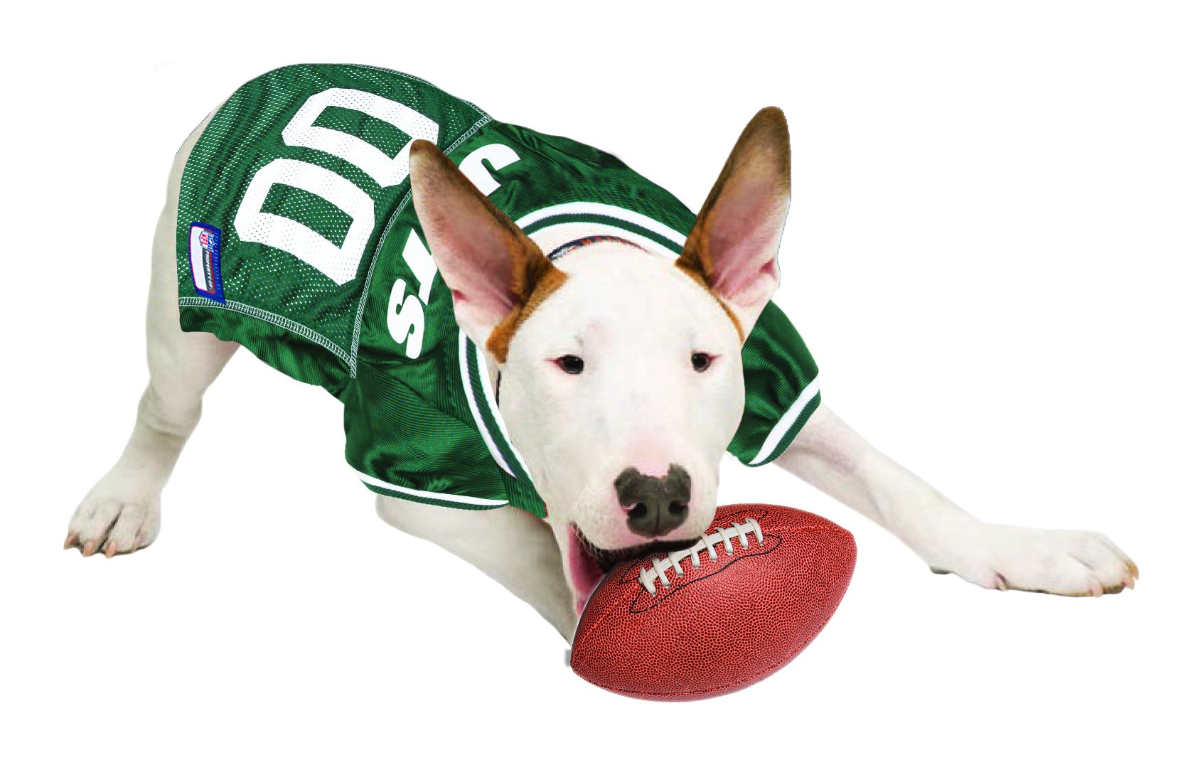 Nfl New York Jets Dog Jersey, Size: Large. Best Football Jersey Costume For Dogs & Cats. Licensed Jersey Shirt