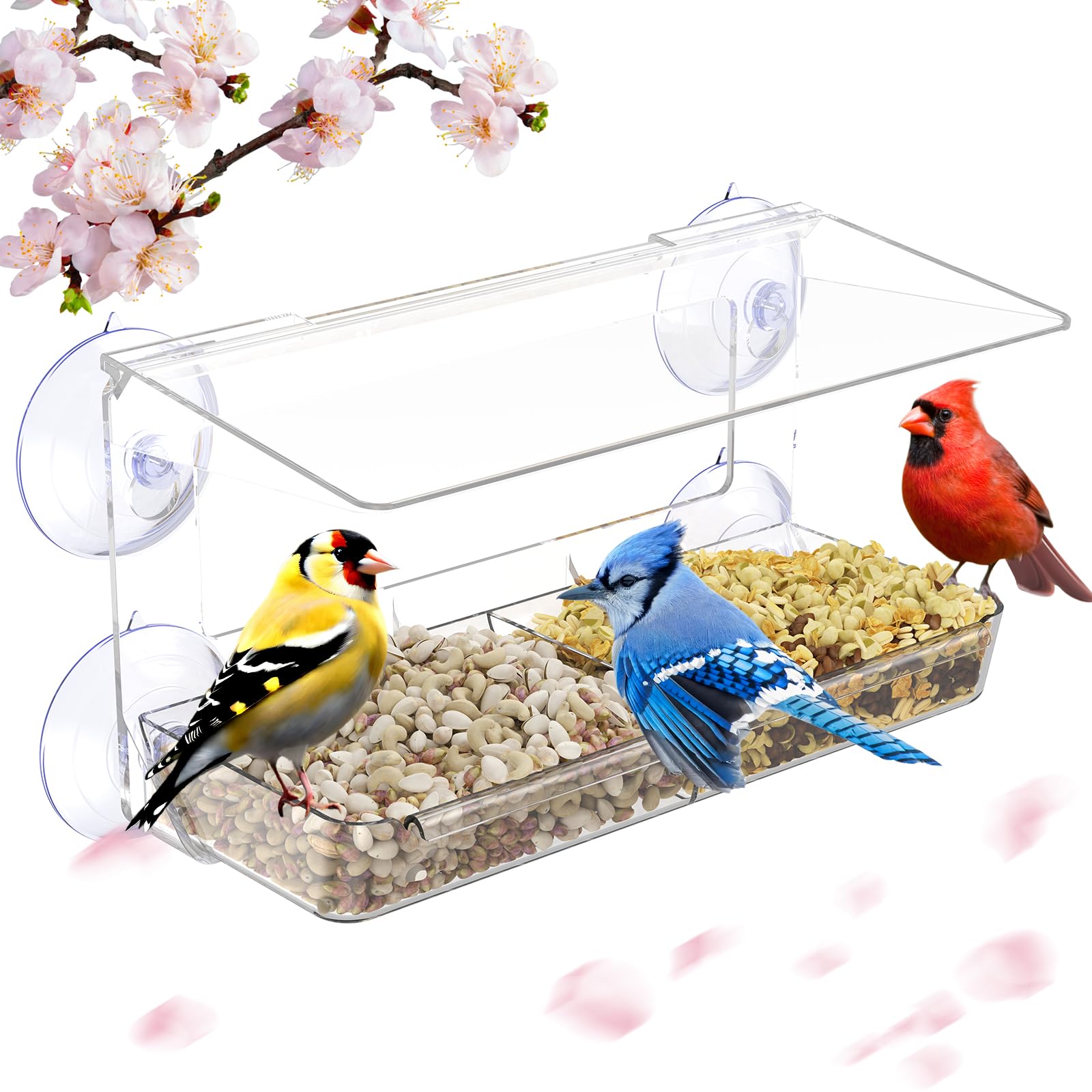 MrCrafts Nature Window Bird Feeder with Strong Suction Cups, Clear Window Bird feeders for Viewing, Window Bird House, Bird Feed