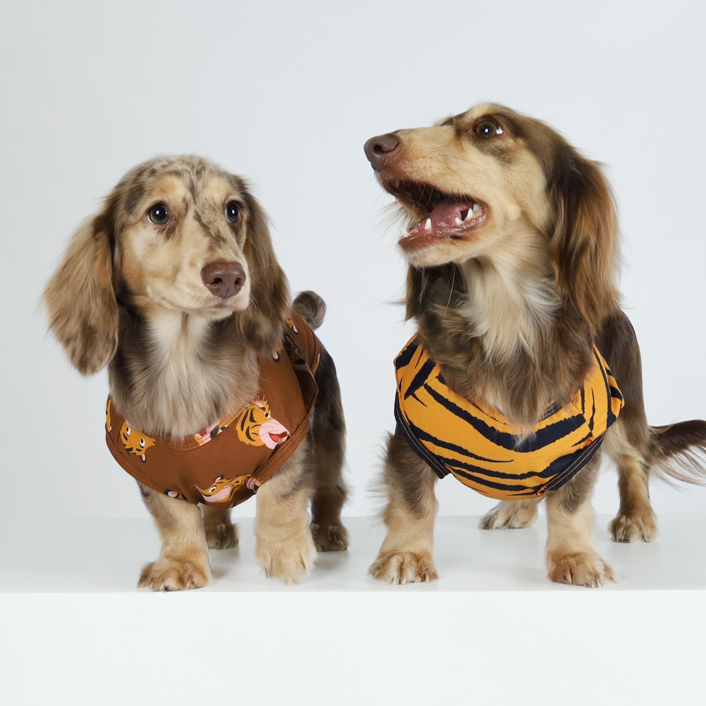 Fitwarm 4-Pack Tiger-Dog Shirts: Summer Pet Outfits, Funnydog Costume, Yellow, Green, Xxl