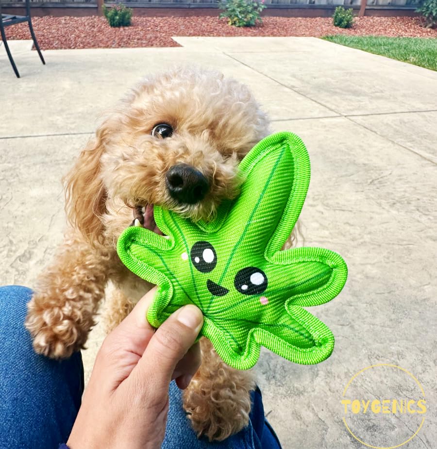 Toygenics Weed Toy | Funny Crinkle Chew Toys | Tough Plush Squeaky Toys For Small & Medium Breed Dogs | Raw Dog Toy