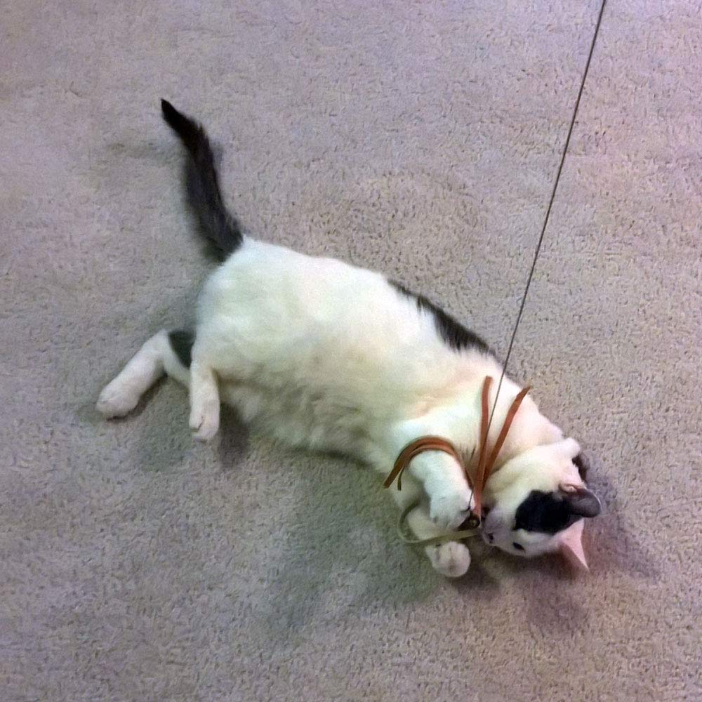 Coolcybercats Ribbon, Leather And Fur Attachment Cat Toys - Fit Wildcat And Popular Bird And Catcher Type Wands/Poles (Leather Tassels)