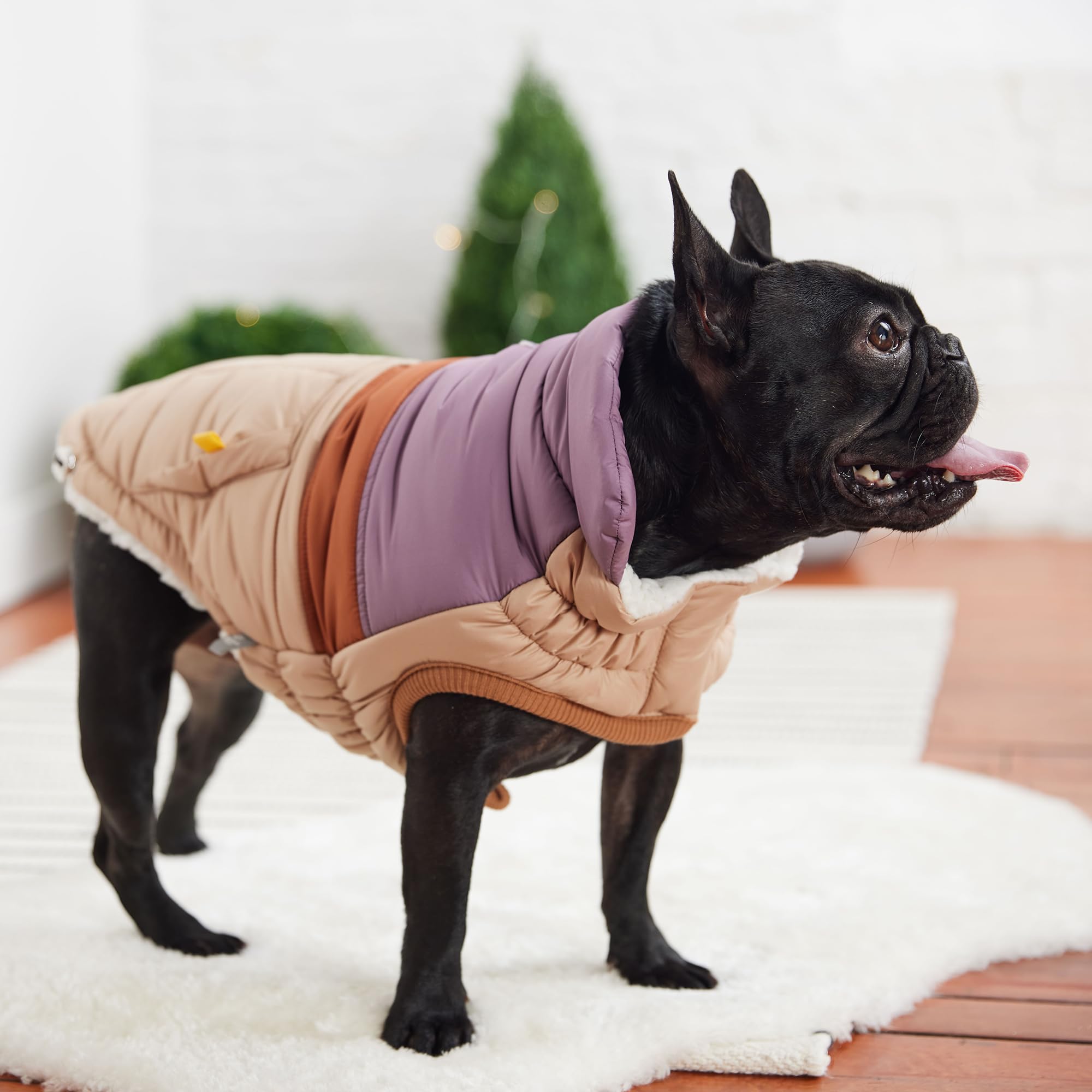 Elasto-Fit Classic Puffer Dog Jacket - Quilted Winter Pet Coat With Adjustable Straps, Waterproof Insulated Dog Outerwear For Small Medium Large Dogs, Easy On Off Design - Sand, X-Small
