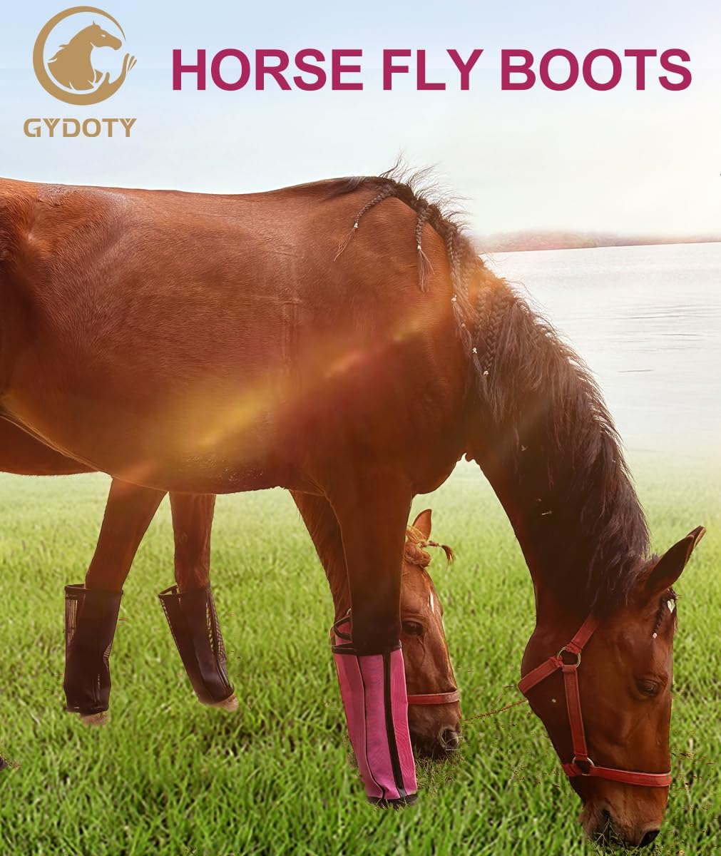 Gydoty Horse Fly Boots Set Of 4 - Upgrade Mesh Horse Leggins With Leather Frame, Leg Fly Protection (Medium, Pink)