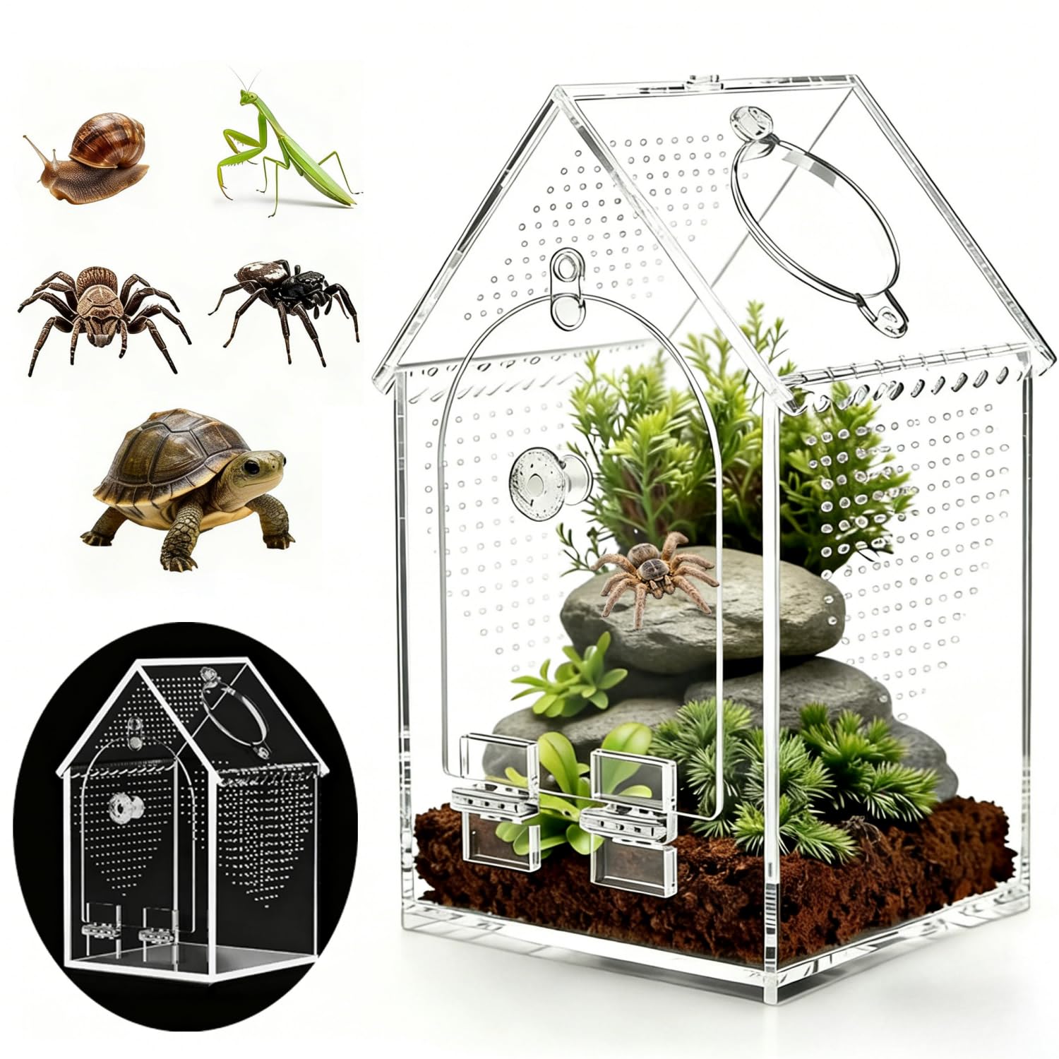 WQLLWFC Jumping Spider Enclosure Kit,Pre-Assembled 8 * 5 * 5in Acrylic Tarantula Terrarium,Reptile Ventilated Habitat Accessorie