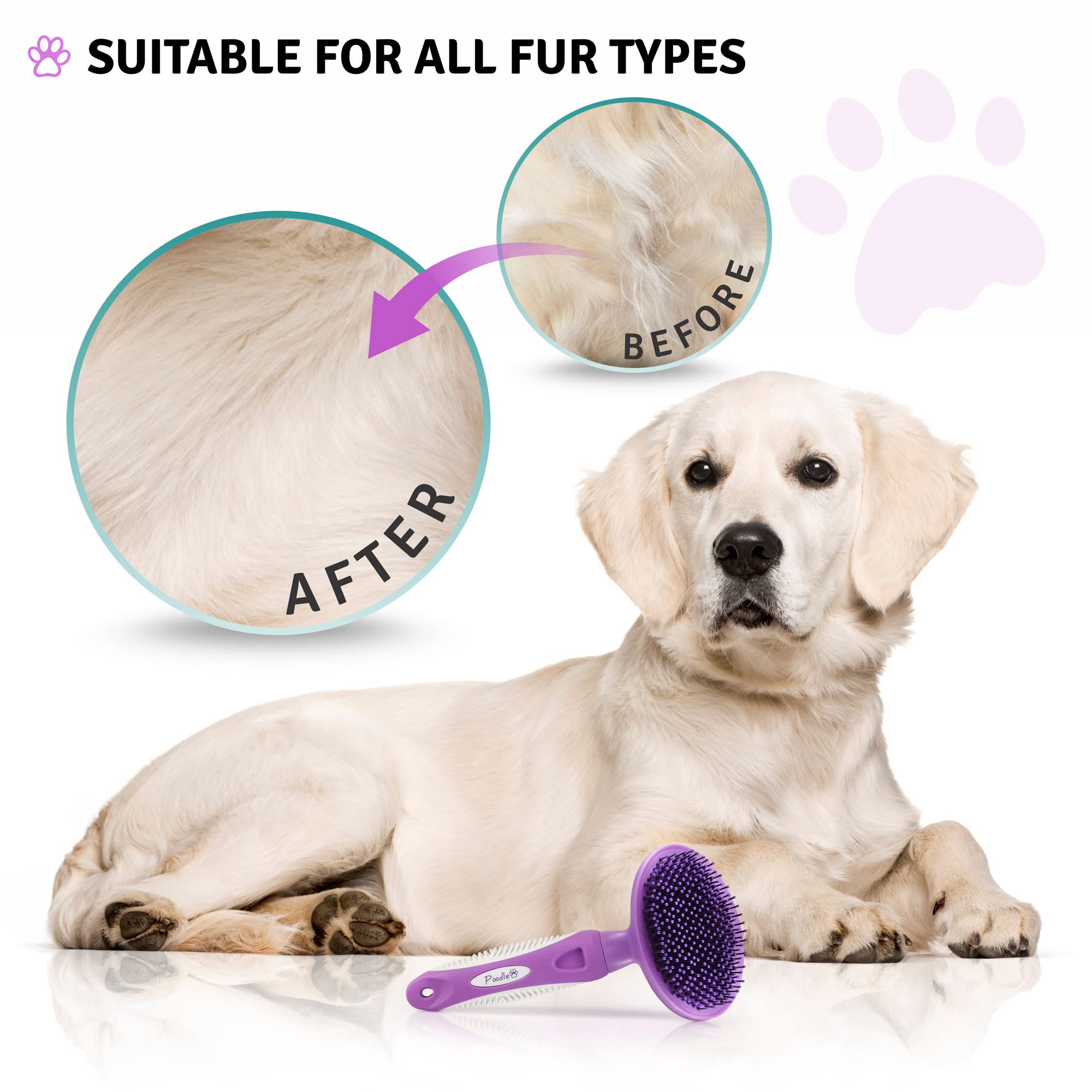 Round Bristle Pet Brush For Dogs And Cats - Soft Dog Brush For Grooming Short Or Long Hair - Gentle Tool For Sensitive Skin Remo