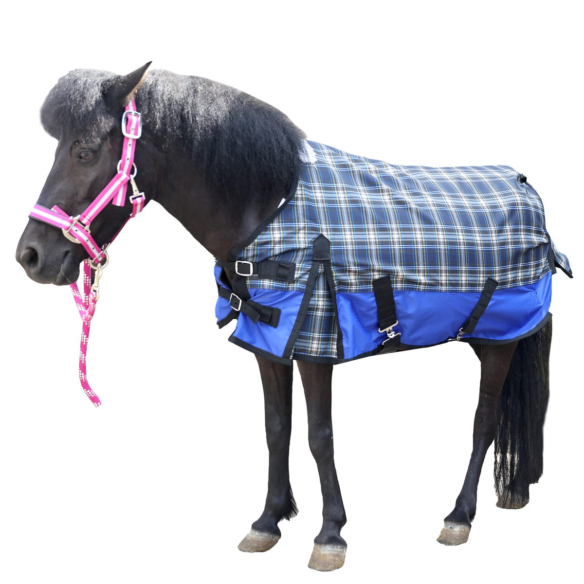 600 Denier Ripstop Poly Waterproof Miniature Horse Sheet, 0G Fill Light Weight Mini Horse Turnout Rain Sheet Blueplaid 36