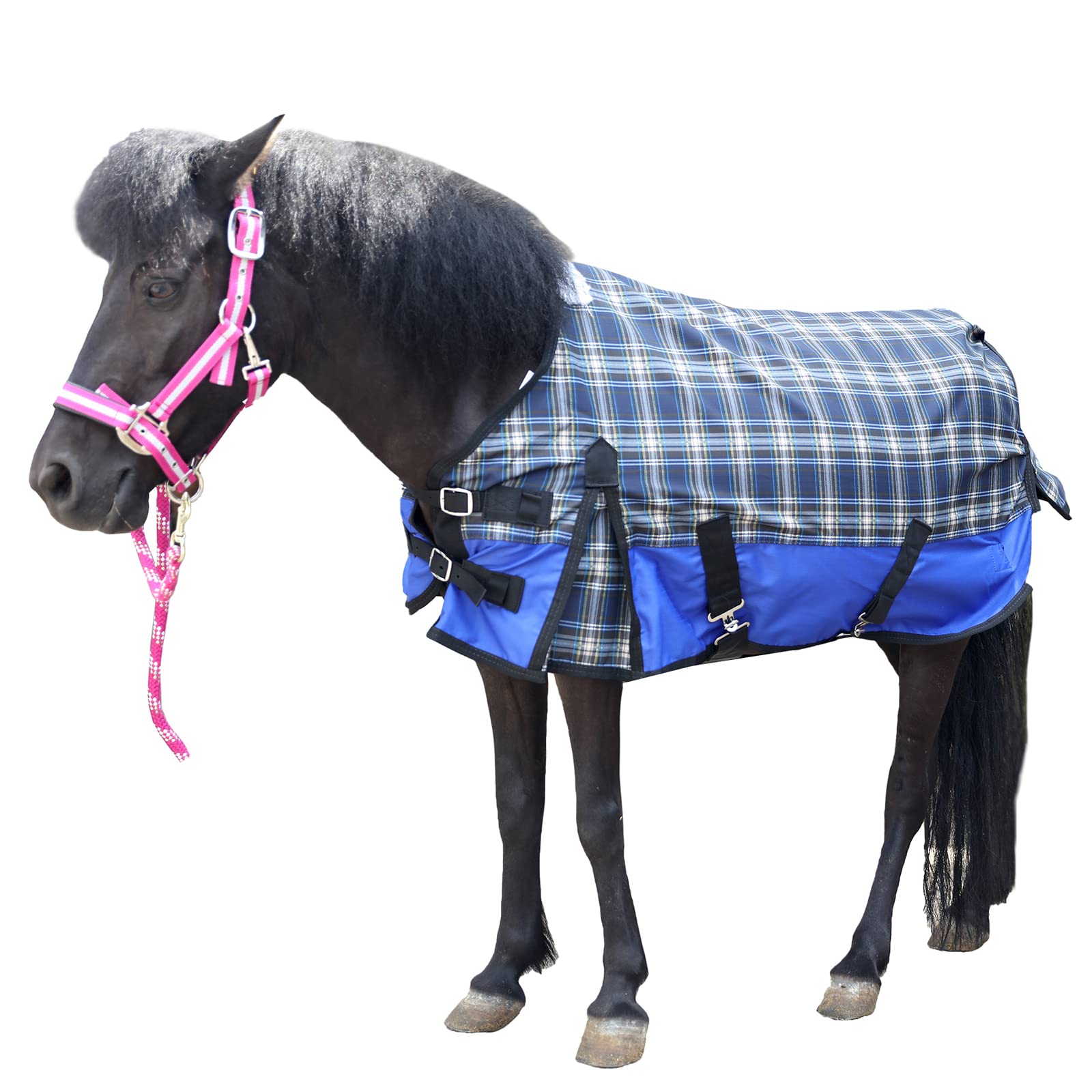 600 Denier Ripstop Poly Waterproof Miniature Horse Sheet, 0G Fill Light Weight Mini Horse Turnout Rain Sheet Blueplaid 39