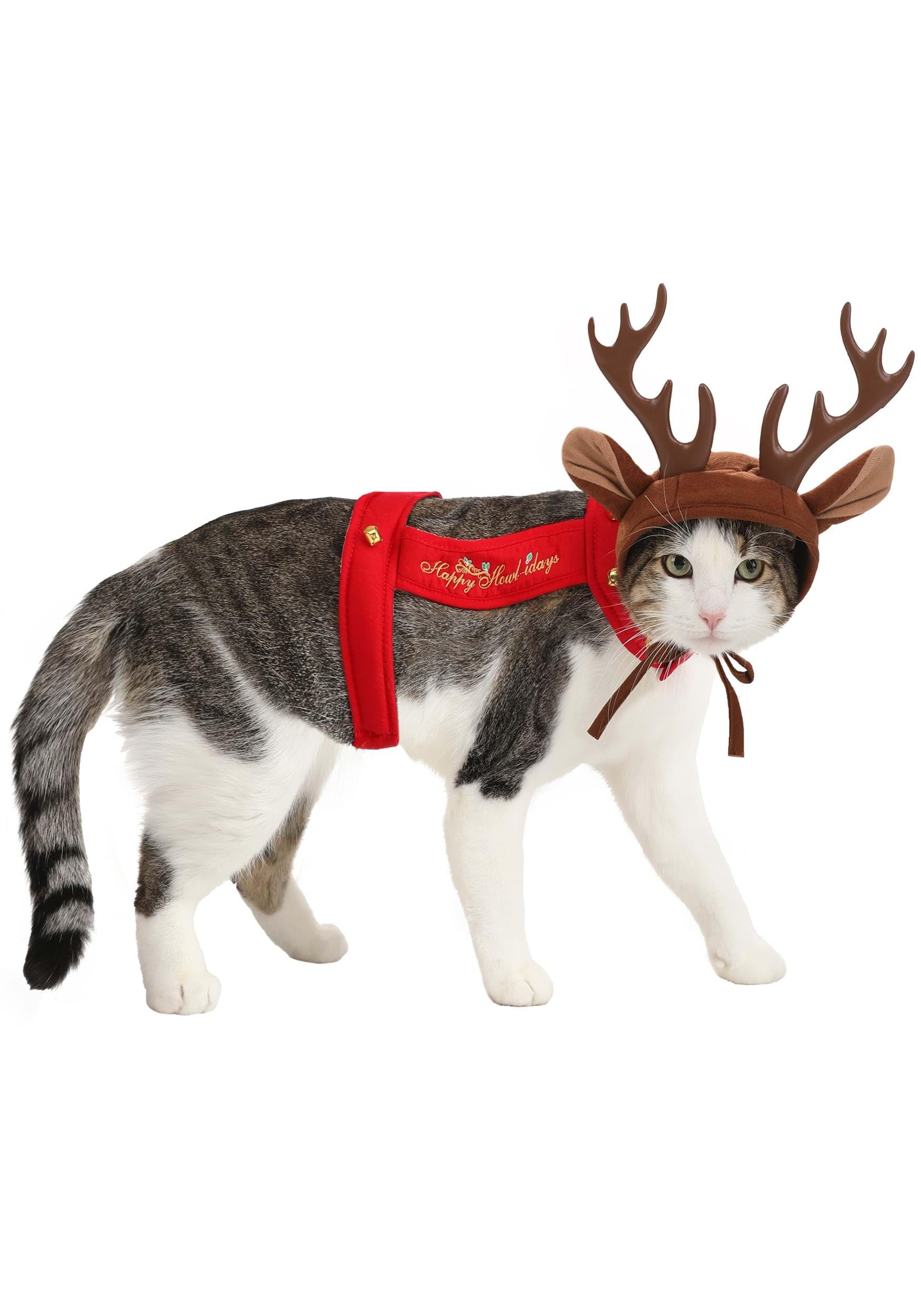 California Costumes Dog Reindeer Costume, Medium