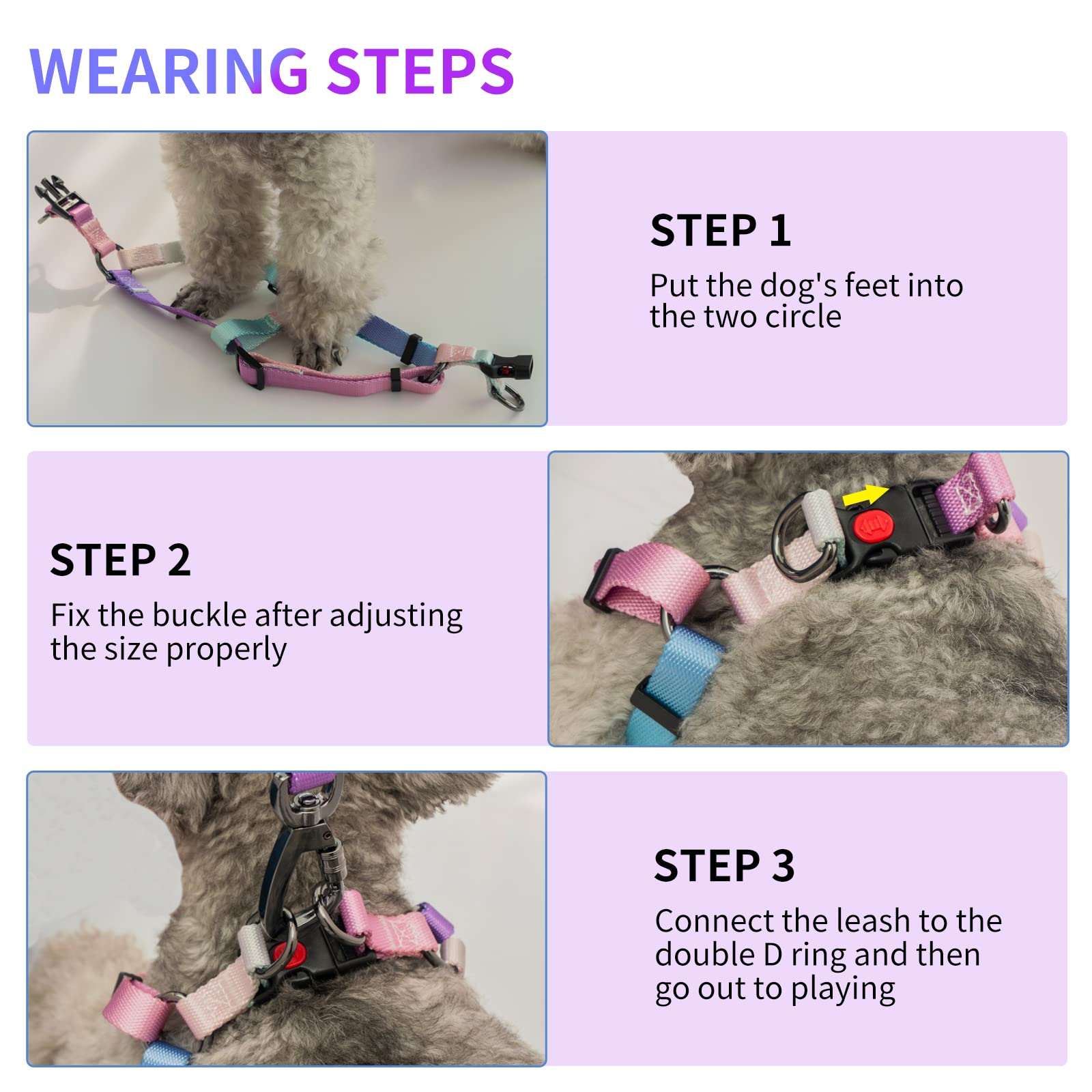 Aiitle Step In Dog Harness Collar Leash Set - Adjustable No Pull Dog Halter Harness - Comfortable Padded Handle - Easy Control F