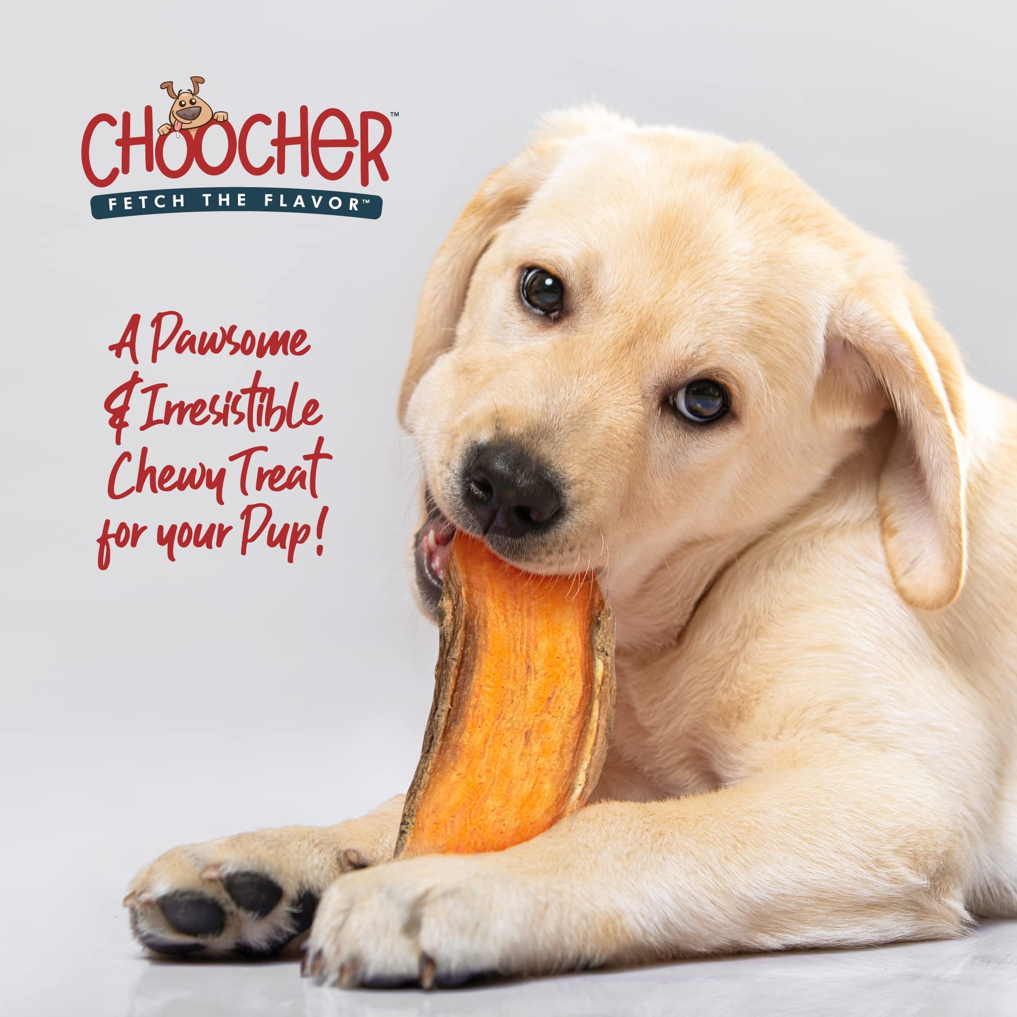CHOOCHER Dehydrated Sweet Potato Dog Treats - High Fiber Gluten Free & Vegan Dental Chews for Small Medium Large Dogs - Made in