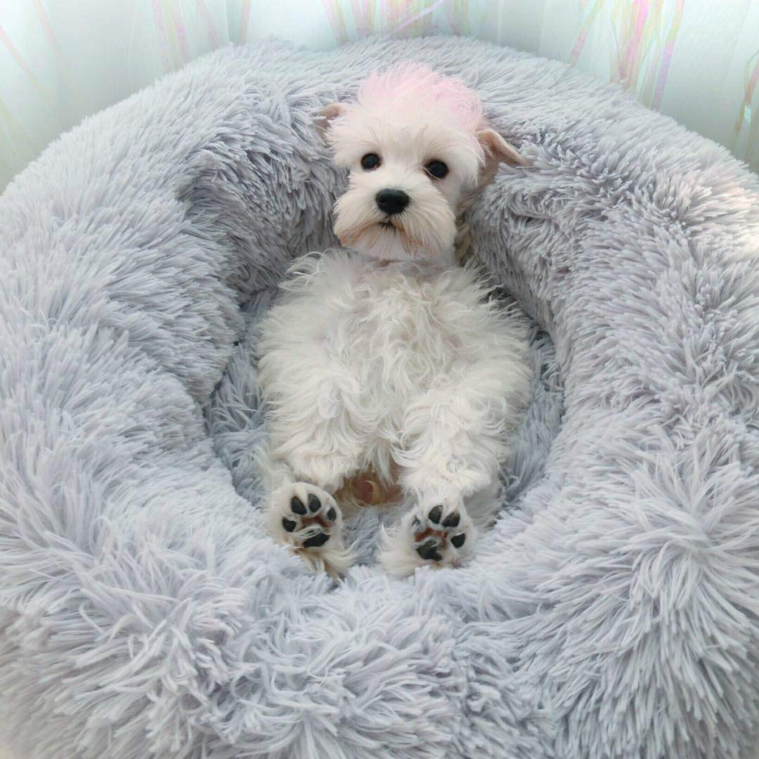 Bodiseint Modern Soft Plush Round Pet Bed For Cats Or Small Dogs, Mini Medium Sized Dog Cat Bed Self Warming Autumn Winter Indoo