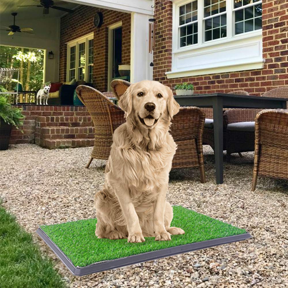 Dog Potty With Artificial Grass-Reusable 3-Layer Synthetic Training Tray That Acts Like A Dog Litterbox-Fake Grass That Dogs Prefer Over Dog Pee Pads Or Puppy Pad