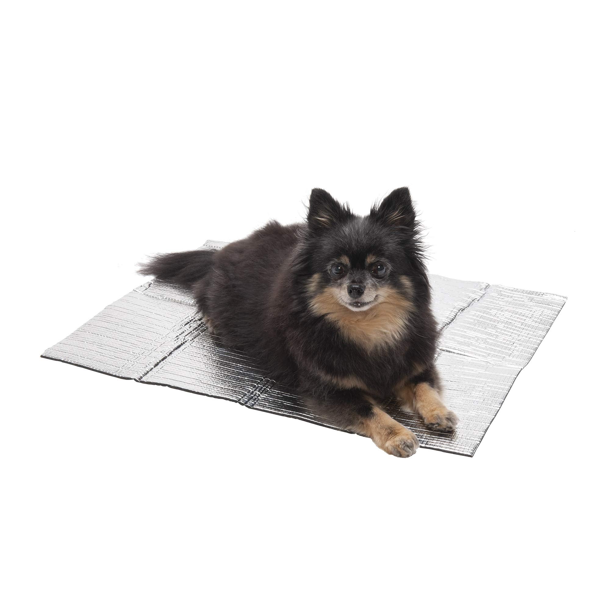 Furhaven Self-Warming Mat For Dogs Beds & Blankets, Electricity-Free & Reflects Body Heat - Thermapup Reflective Thermal Insert - Silver, Small