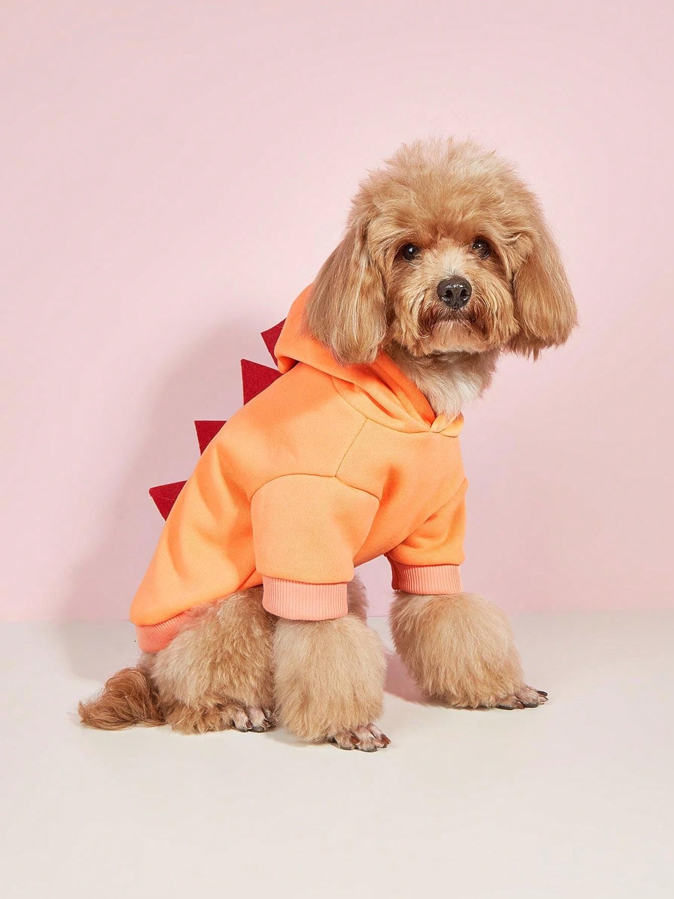 Qwinee Dinosaur Dog Hoodie Dog Warm Jacket Christmas Halloween Dog Costume Dog Clothes For Puppy Kitten Small Medium Dogs Cats S