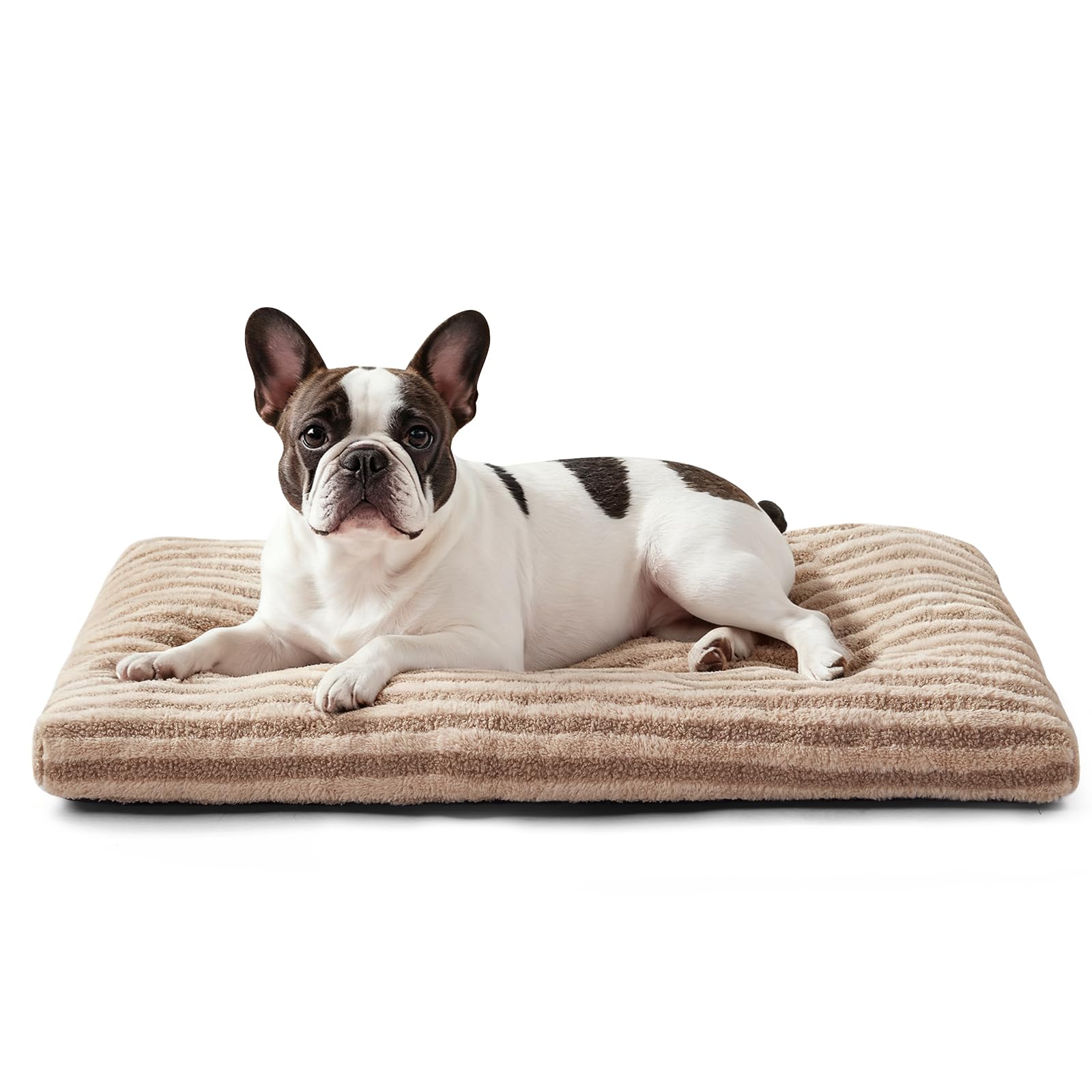 FURTIME Washable Small Dog Bed, Deluxe Dog Crate Beds Comfy Fluffy Kennel Pad Anti-Slip Pet Sleeping Mat for Puppy/Cat, Machine 