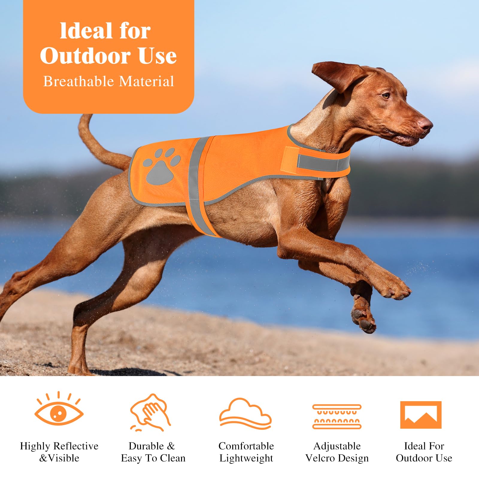 Candofly Reflective Dog Vest, High Visibility Safety Pet Hunting Jacket For Night Walking Camping (Orange, Medium)