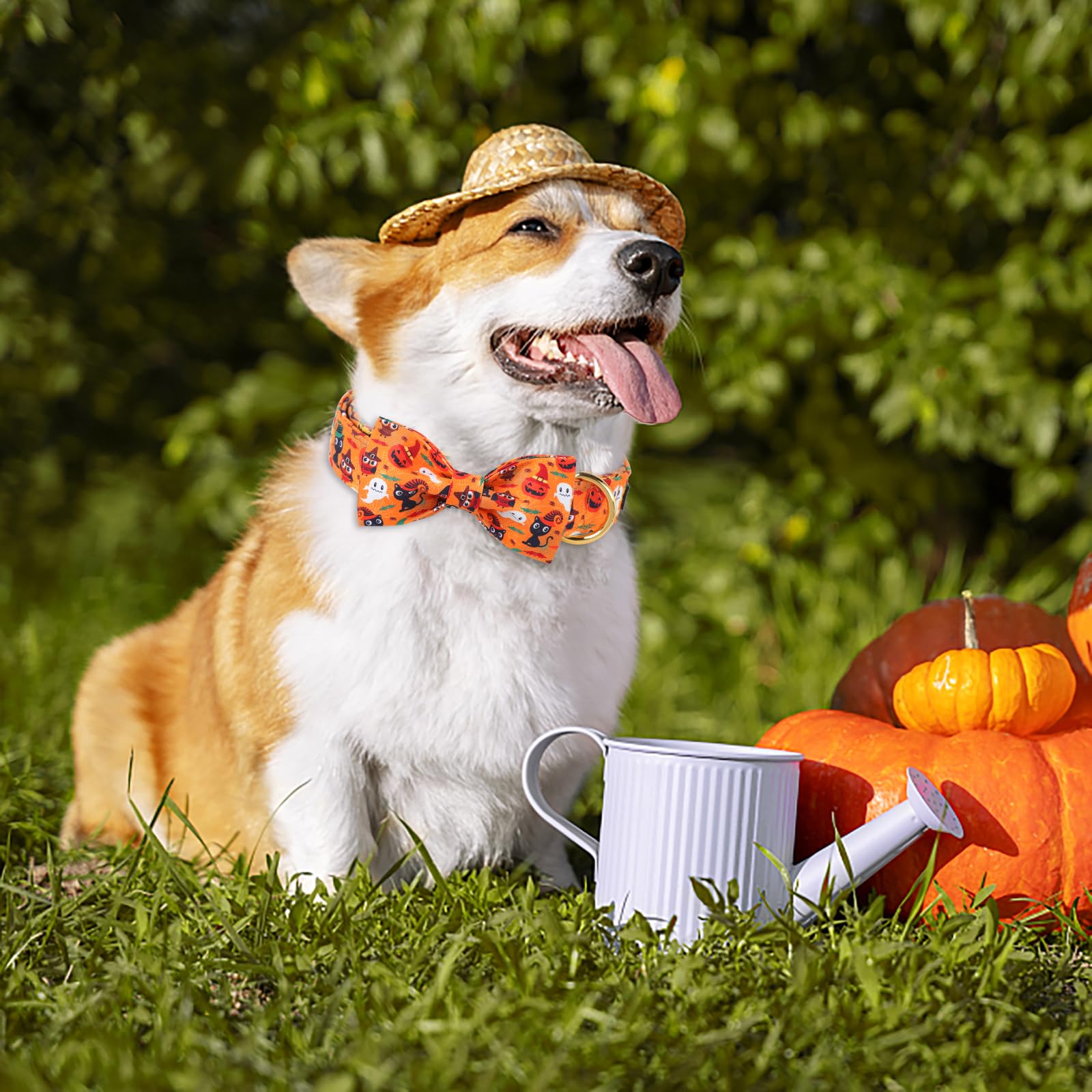 Maca Bates Halloween Dog Collar Spooky Ghost Dogs Collars With Bow Yellow Pumpkin Puppy Colar With Bowtie Adjustable Birthday Gift For Xs Small Medium Large Xl Girls Boys Male Female Dogs Pet