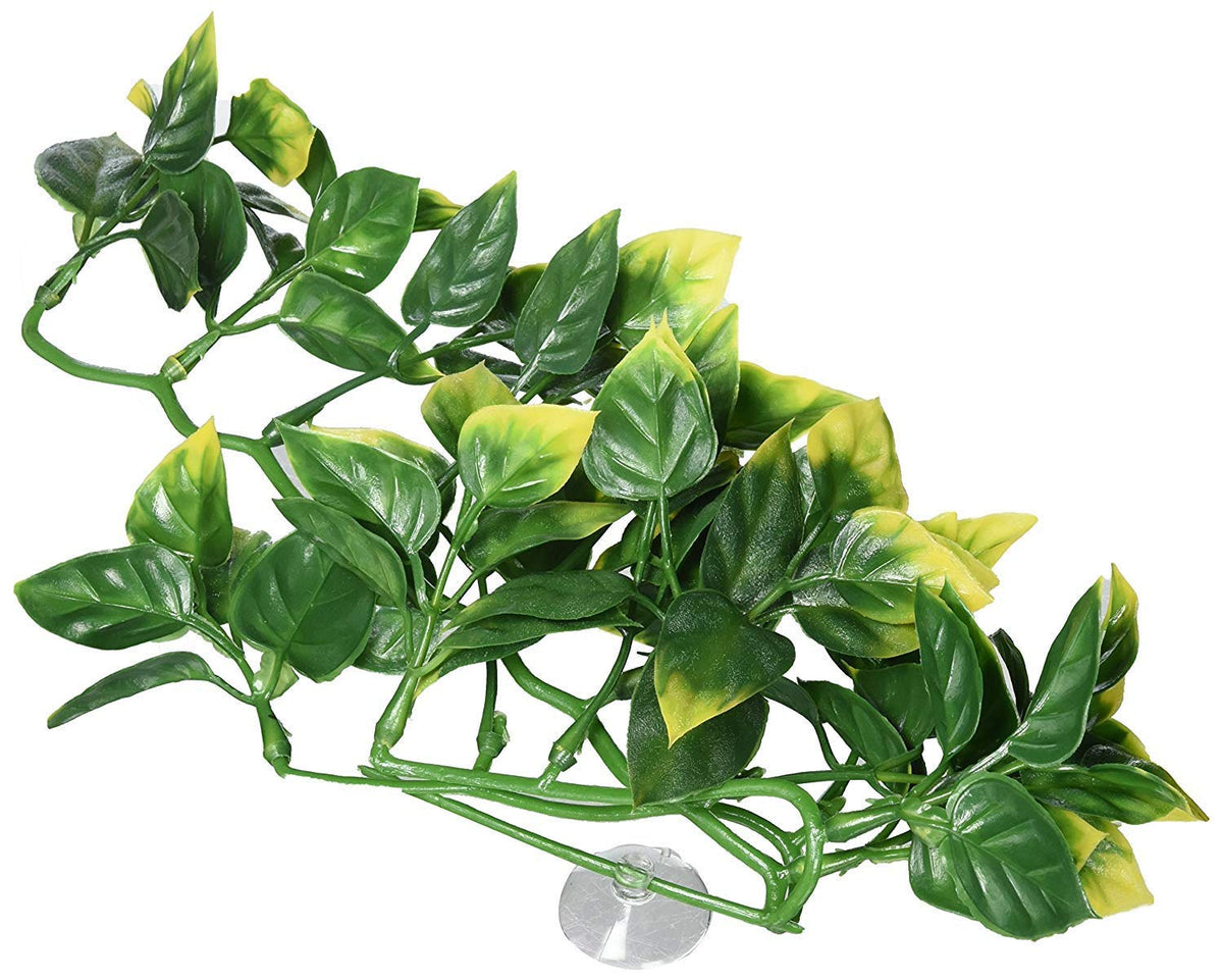 Exo Terra Plastic Terrarium Plant, Small, Amapallo