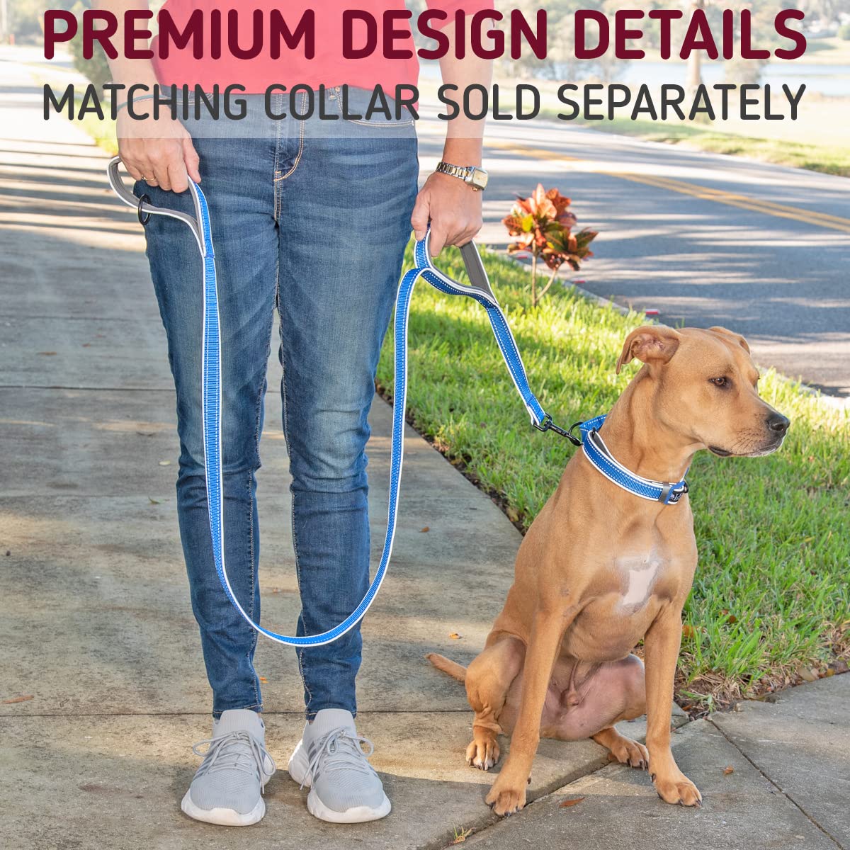 Leashboss Double Handle Dog Leash, 6 Ft Reflective Dog Leash With Two Padded Handles For Large Dogs Or Medium Dogs That Pull (Aqua)