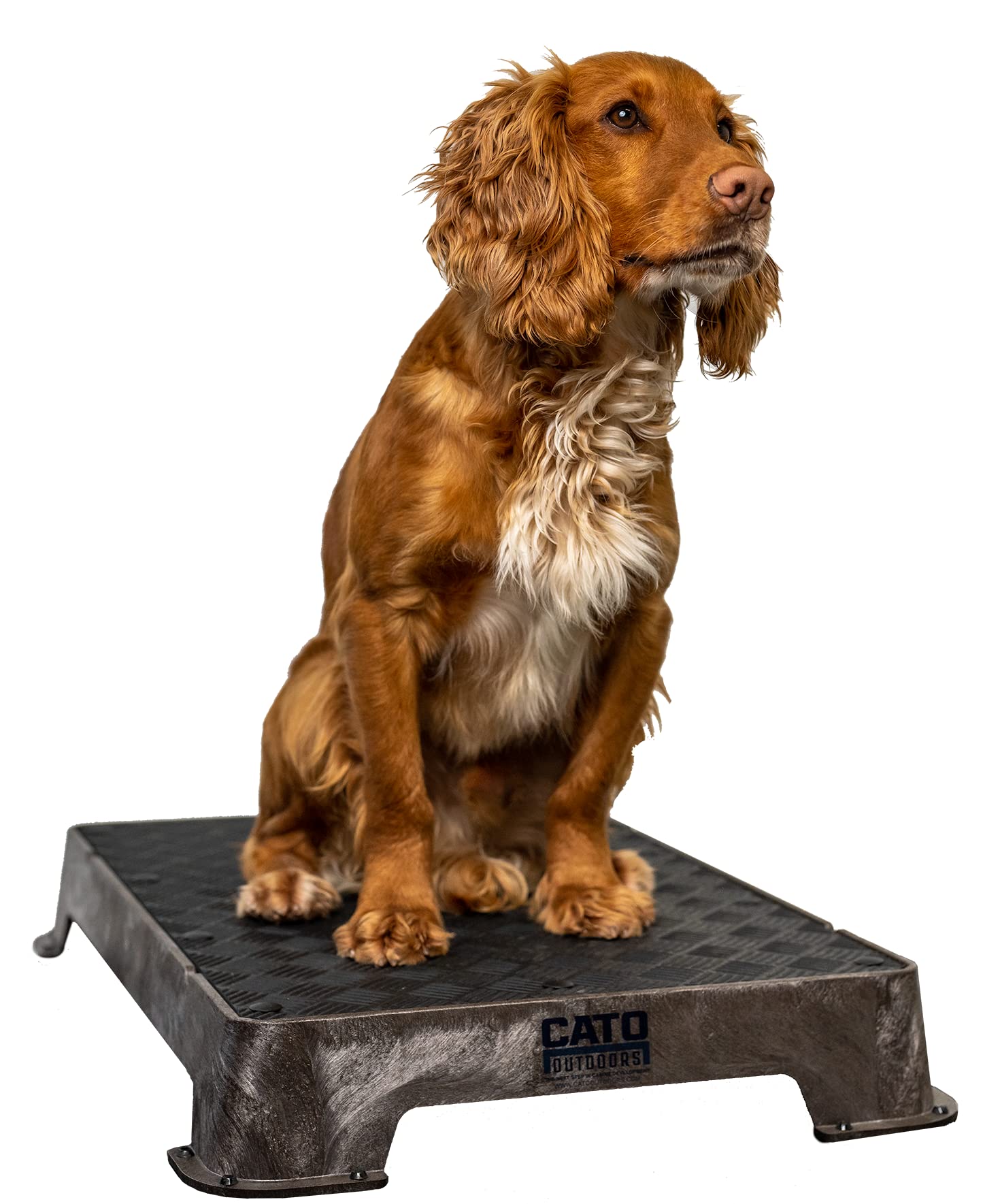 Cato Board - Dog Training Platform (Brown, Rubber Surface)