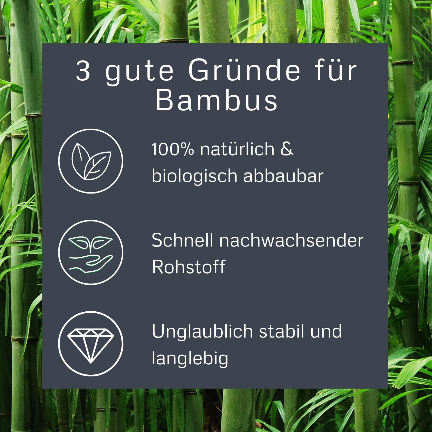 Alcott Bamboo Groom Palm Brush With Boar Bristles For Pets