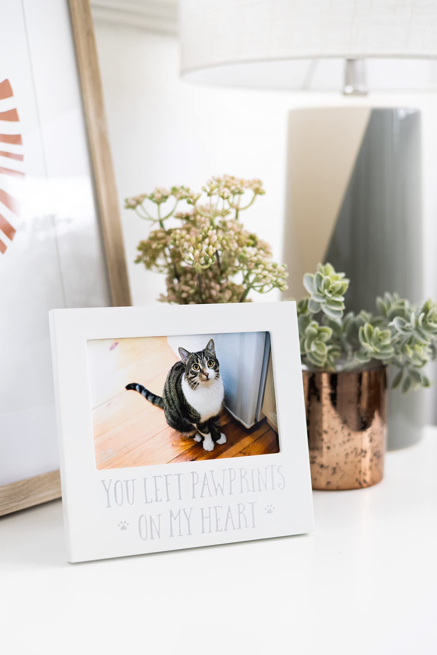 Pearhead Pet Keepsake Picture Frame - You Left Pawprints on my Heart - White - Model 83026 - Ideal for Dog or Cat Owners