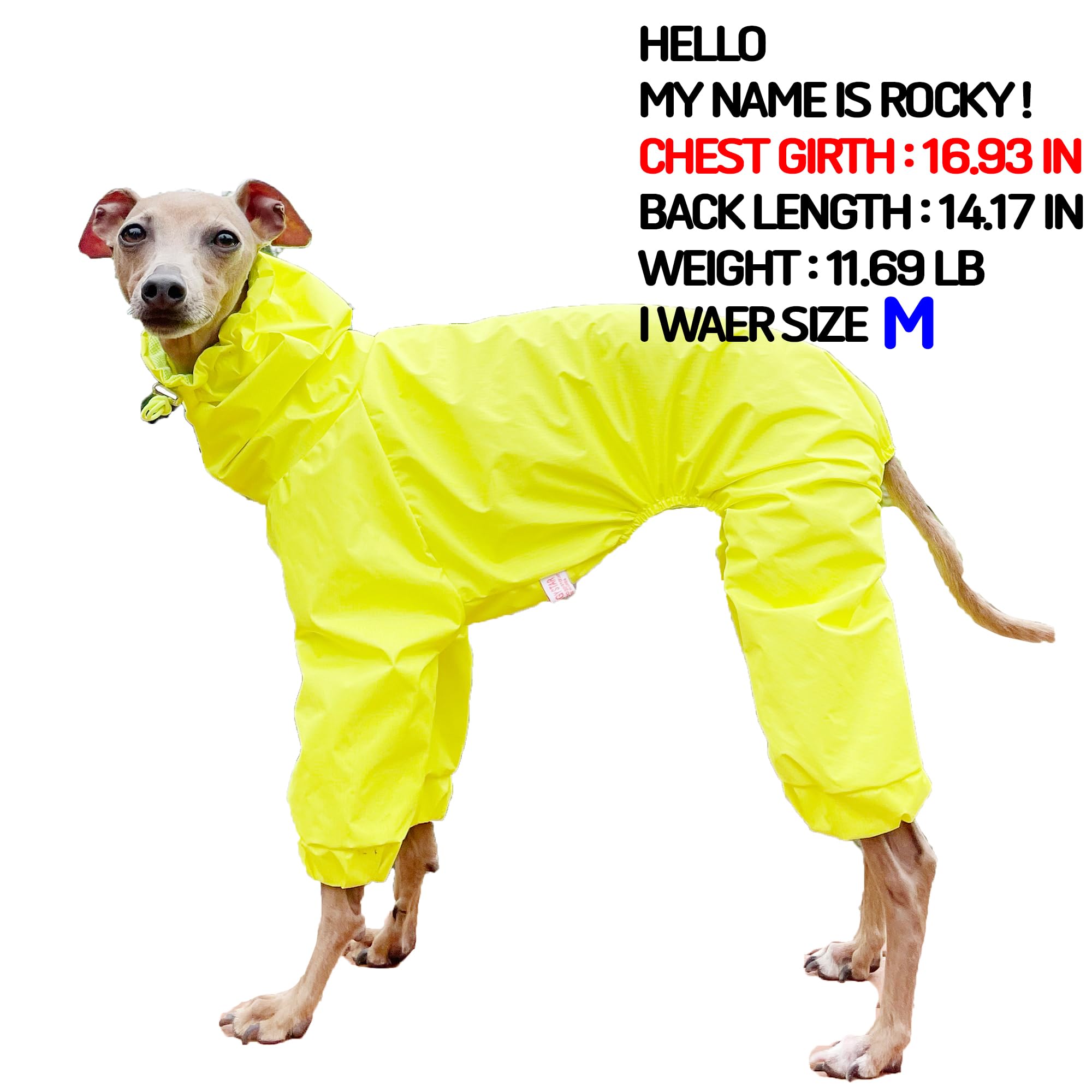 D DOGGY STAR Italian Greyhound Raincoat Waterproof Jacket Windbreaker Clothes Whippet for Dog (S,Raincoat Yellow)