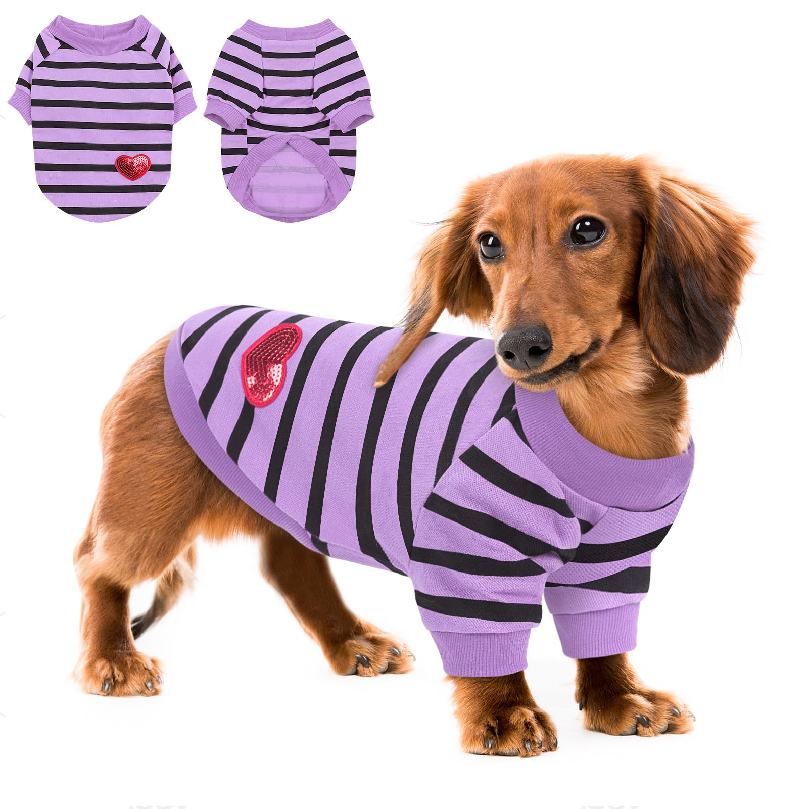 Queenmore Medium Dog Shirt,Soft Breathable Dog Tshirt For Dogs Cats Boy Girl,Pet Clothes For All Season,Breathable Lightweight P