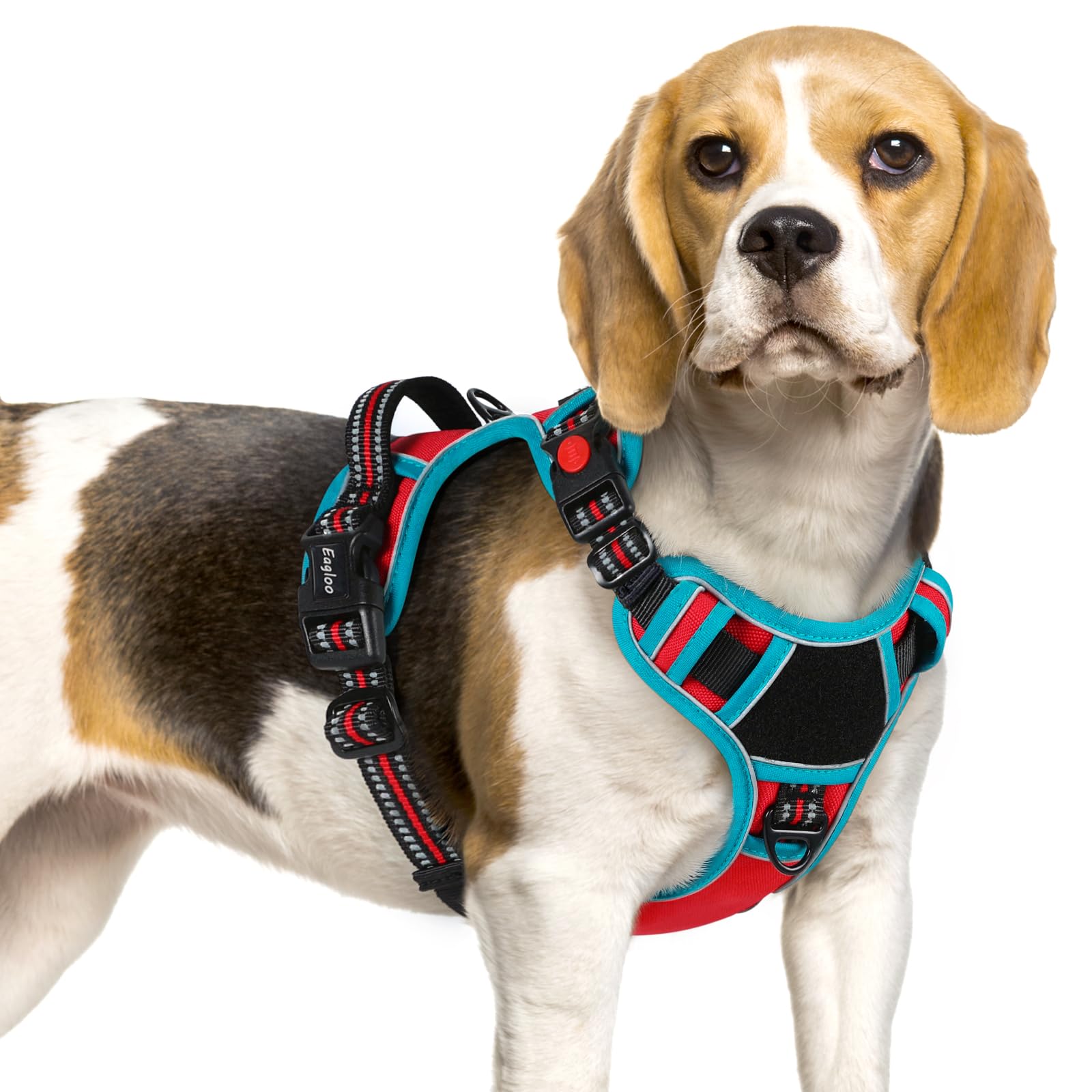 Eagloo Dog Harness Small Sized, Easy Wearing with 3 Buckles, Adjustable No Pull Pet Harness with 2 Rings for Walking, No Chock R