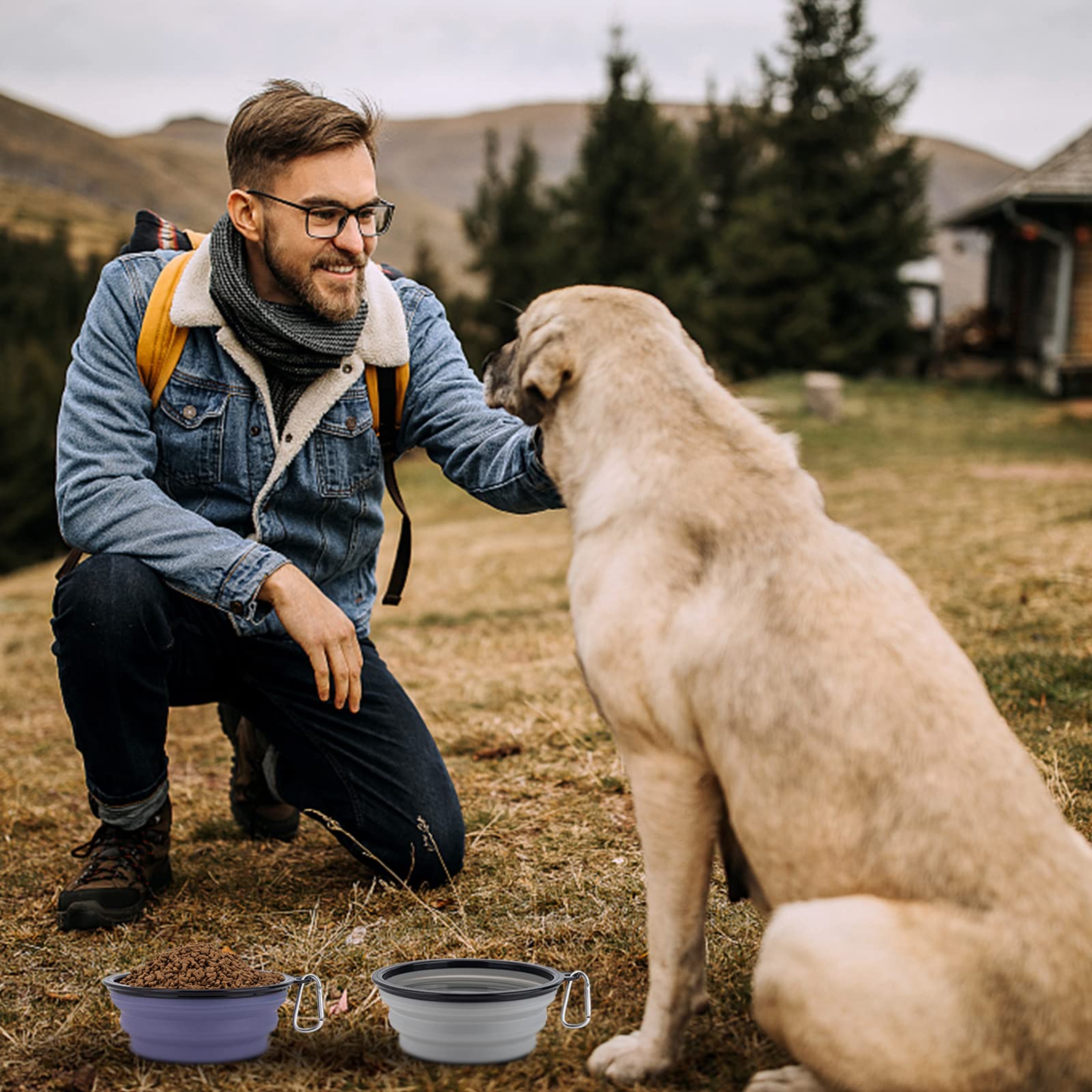 Slson Dog Bowls Pet Collapsible Bowl With Cover Lids,2 Pack Dog Travel Bowls Portable Foldable Cat Water Dish Bowl For Pets Walking Parking Camping (Taro Purple And Concrete Gray, Large)