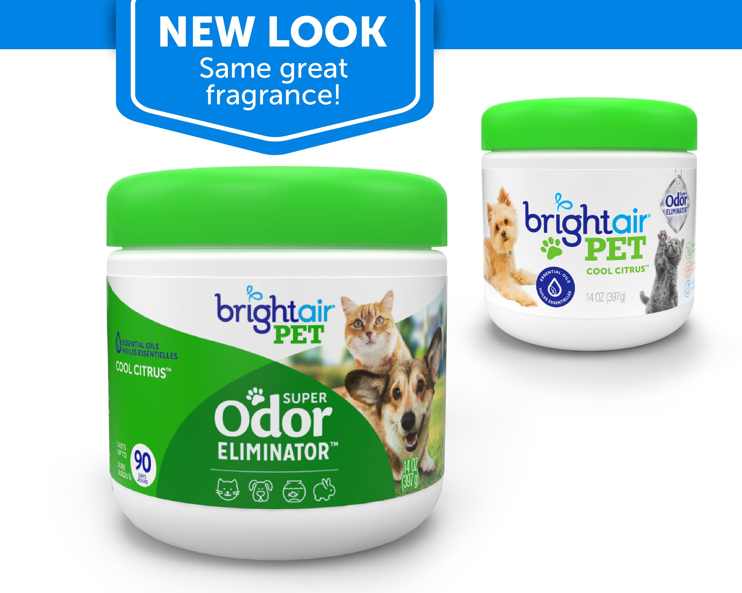 Bright Air 14 Oz. Super Odor Eliminator, For Medium-Size Spaces, Cool Citrus Scent, Case Of 6, Air Freshener, Natural Essential