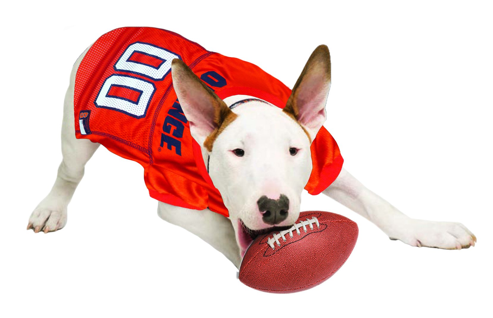 Pets First NCAA College Syracuse Orange Mesh Jersey for DOGS & CATS, Size X-Large, Licensed Dog Jersey with your Favorite Footba