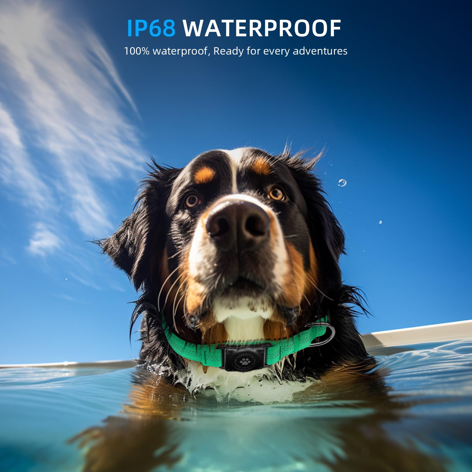 Upgraded Airtag Dog Collar, Ip68 Waterproof Air Tag Dog Collar Holder, Reflective, Ultra-Durable, Comfortable Padded, Heavy Duty Dog Collars For Small Medium Large Dogs (M (12.6'-17.1'), Teal)