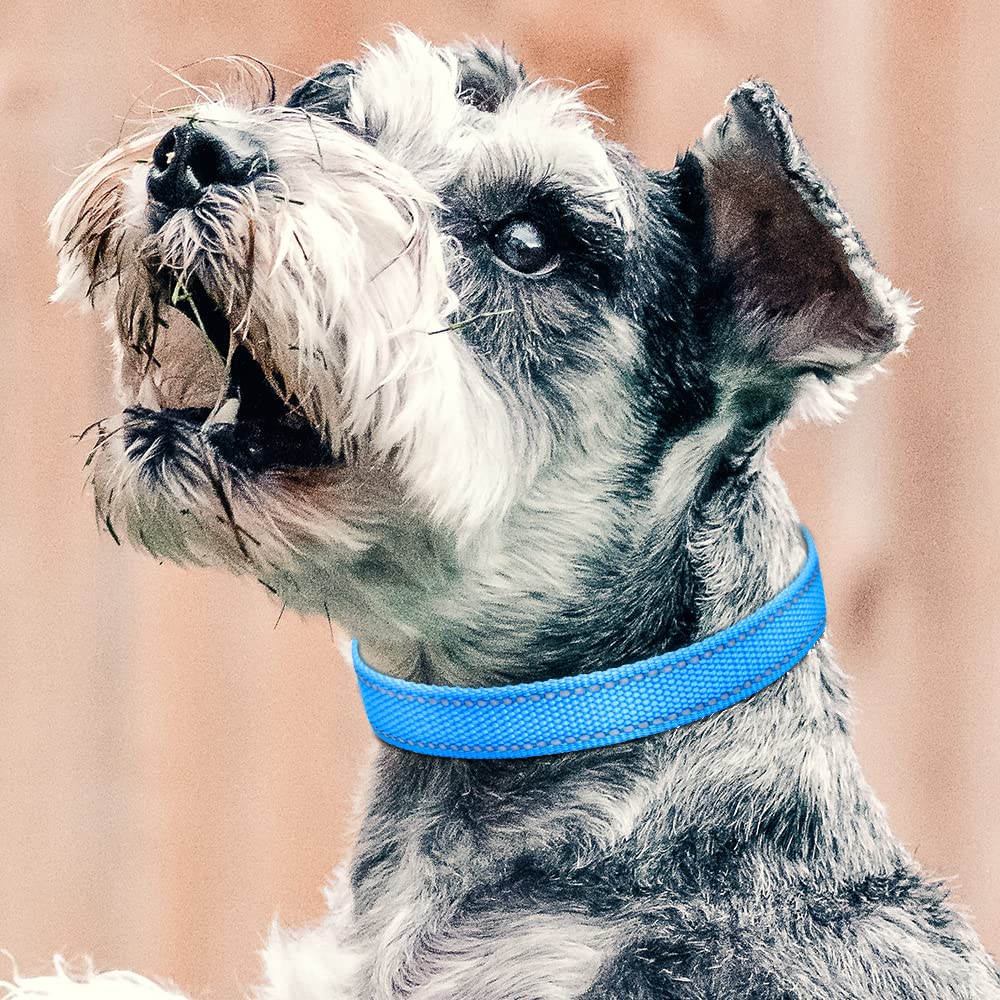 Petjoy Shock Collar Replacement Collar Strap, Reflective Dog Collars Strong, Durable & Adjustable Dog Collar- 2 Piece Set Collar