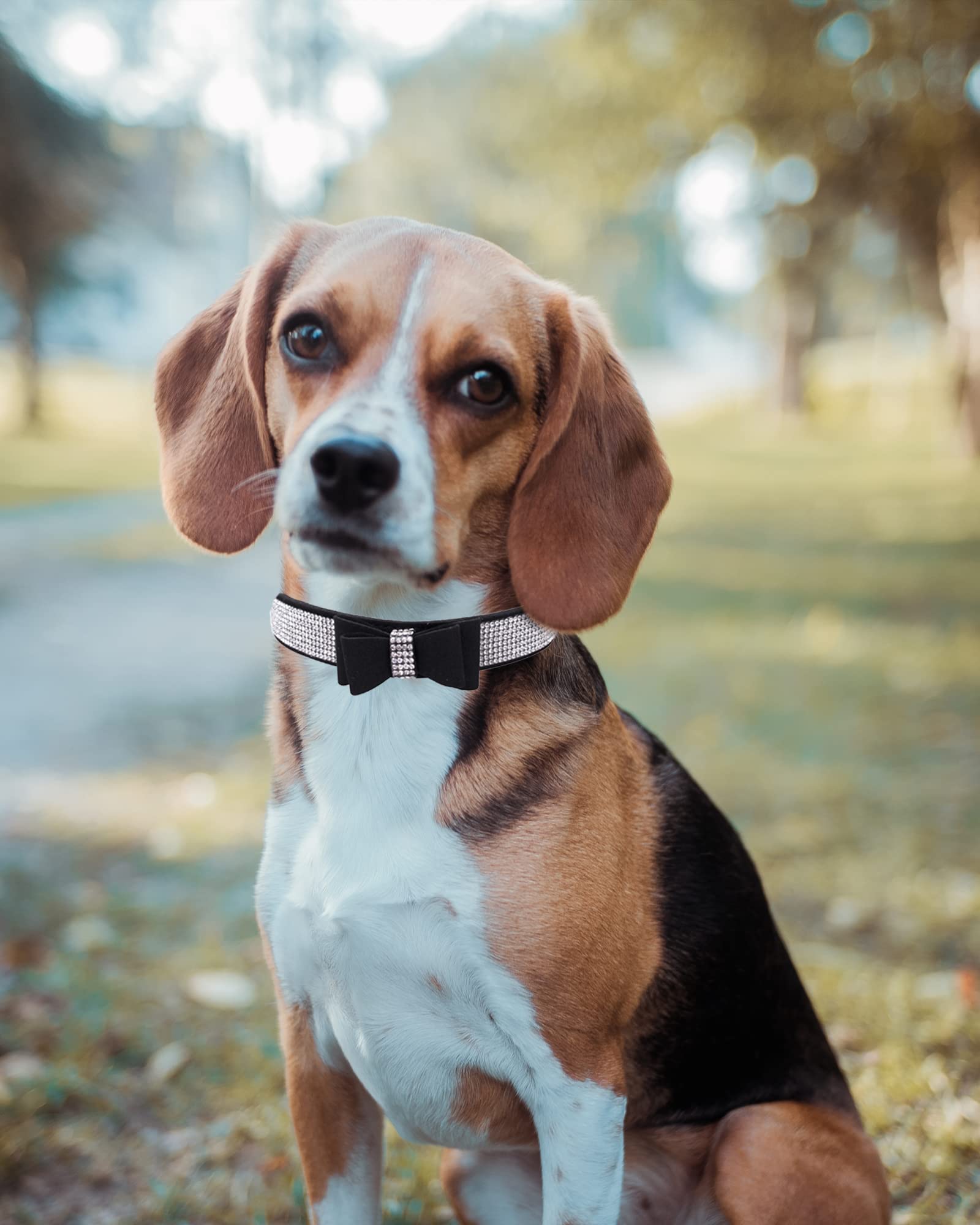 Bling Rhinestone Dog Collars For Small To Large Dogs, Adjustable Leather Suede Sofe Cat Collar (L(15''-18.1''/38Cm-46Cm), Purple