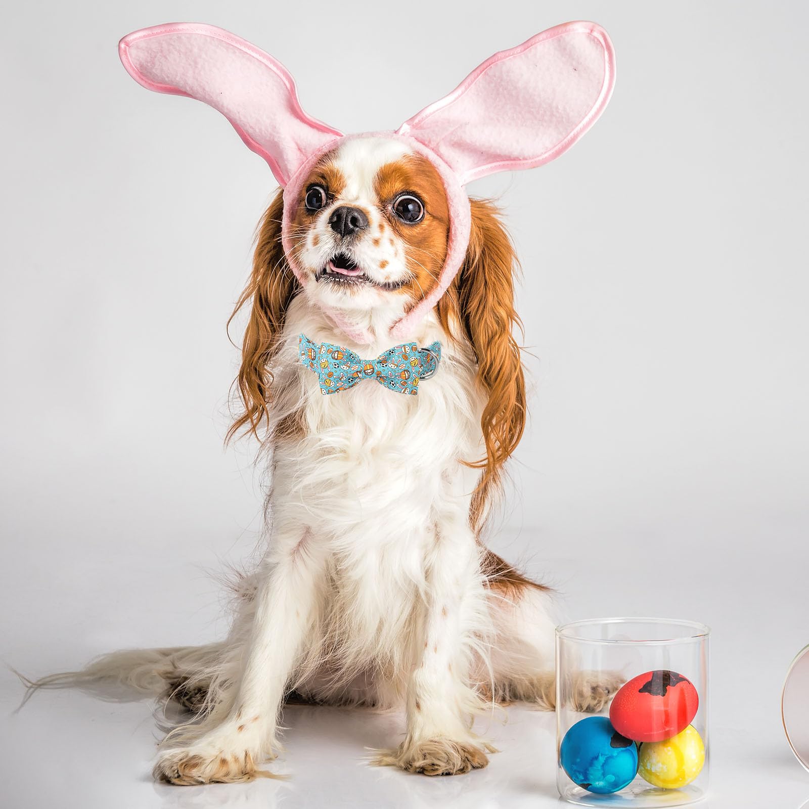 Unique Style Paws Easter Dog Collar With Bow Blue Sports Rabbit Ball Easter Egg Cotton Polyester Puppy Collars For Small Medium