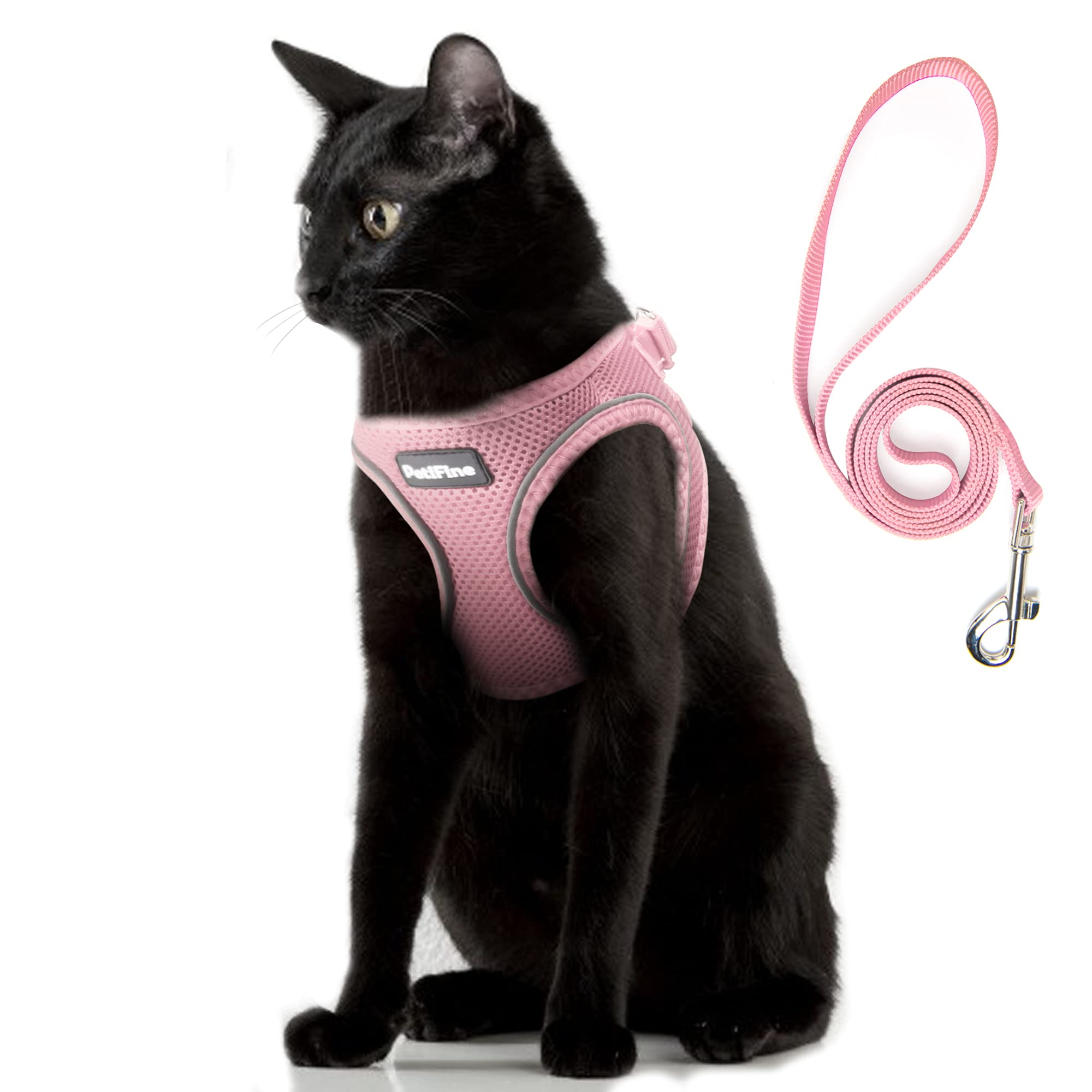 Petifine Extra Small Step In Dog Harness And Leash Set, Cat Harness And Leash Escape Proof, All Weather Mesh Reflective, Step-In Air Vest Harnesses For Puppy(Xxs, Pink)