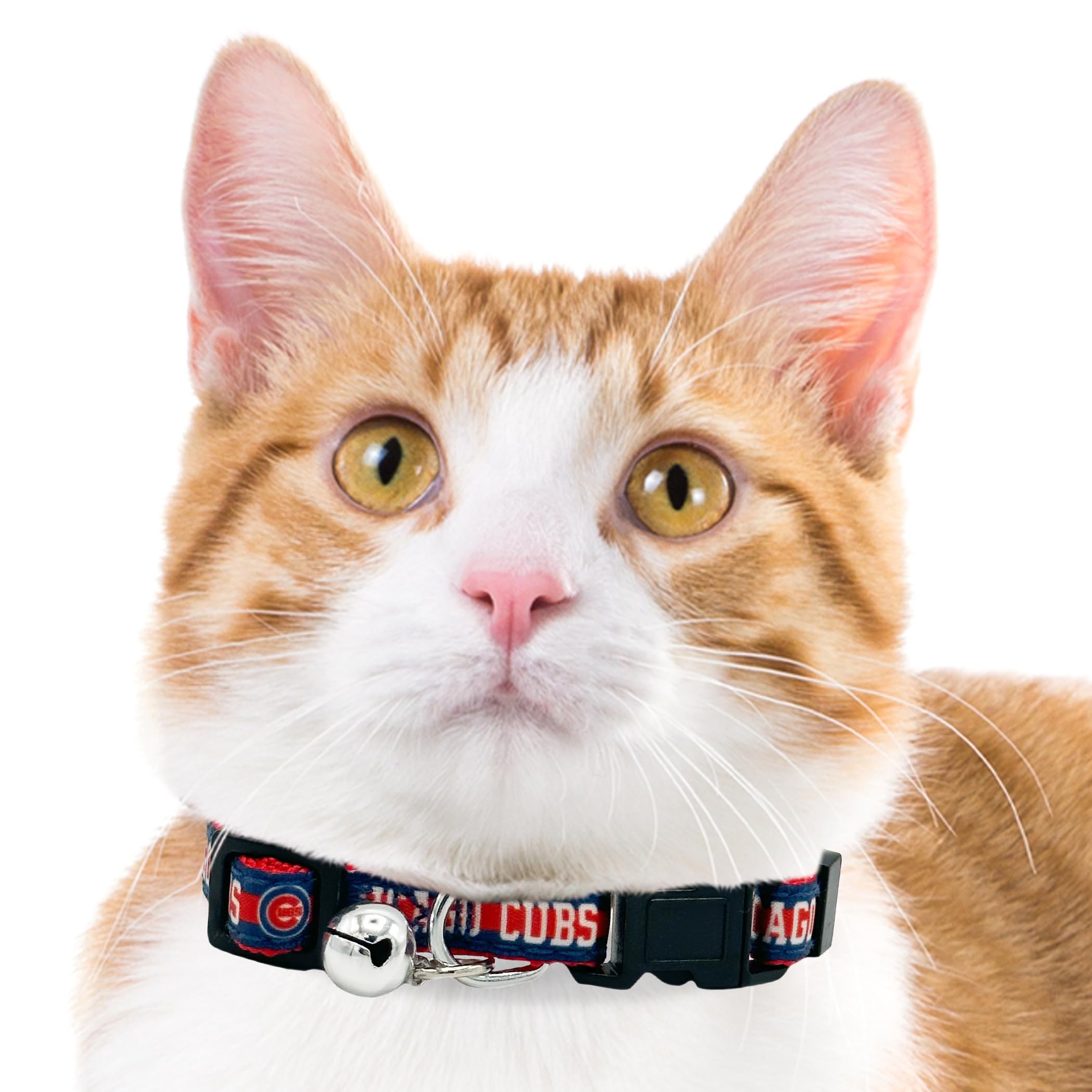 Mlb Cat Collar Chicago Cubs Satin Cat Collar Baseball Team Collar For Dogs & Cats. A Shiny & Colorful Cat Collar With Ringing Be