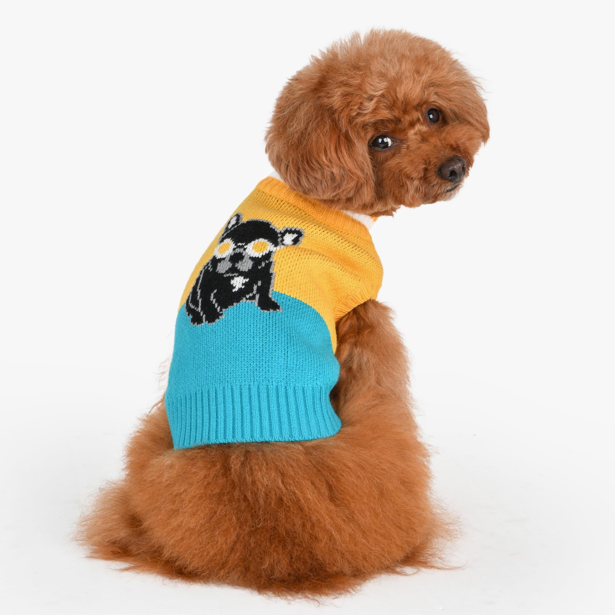 Puppia Bruno Dog Knit Sweater Winter Season For Small And Medium Dogs, Yellow, X-Large