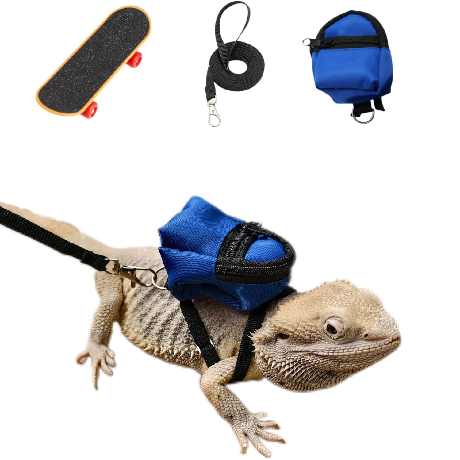 Bearded Dragons Accessories Toy Lizard Backpack Leash Set Adjustable Strap And Mini Skateboard Suitable For Lizard Bearded Drago