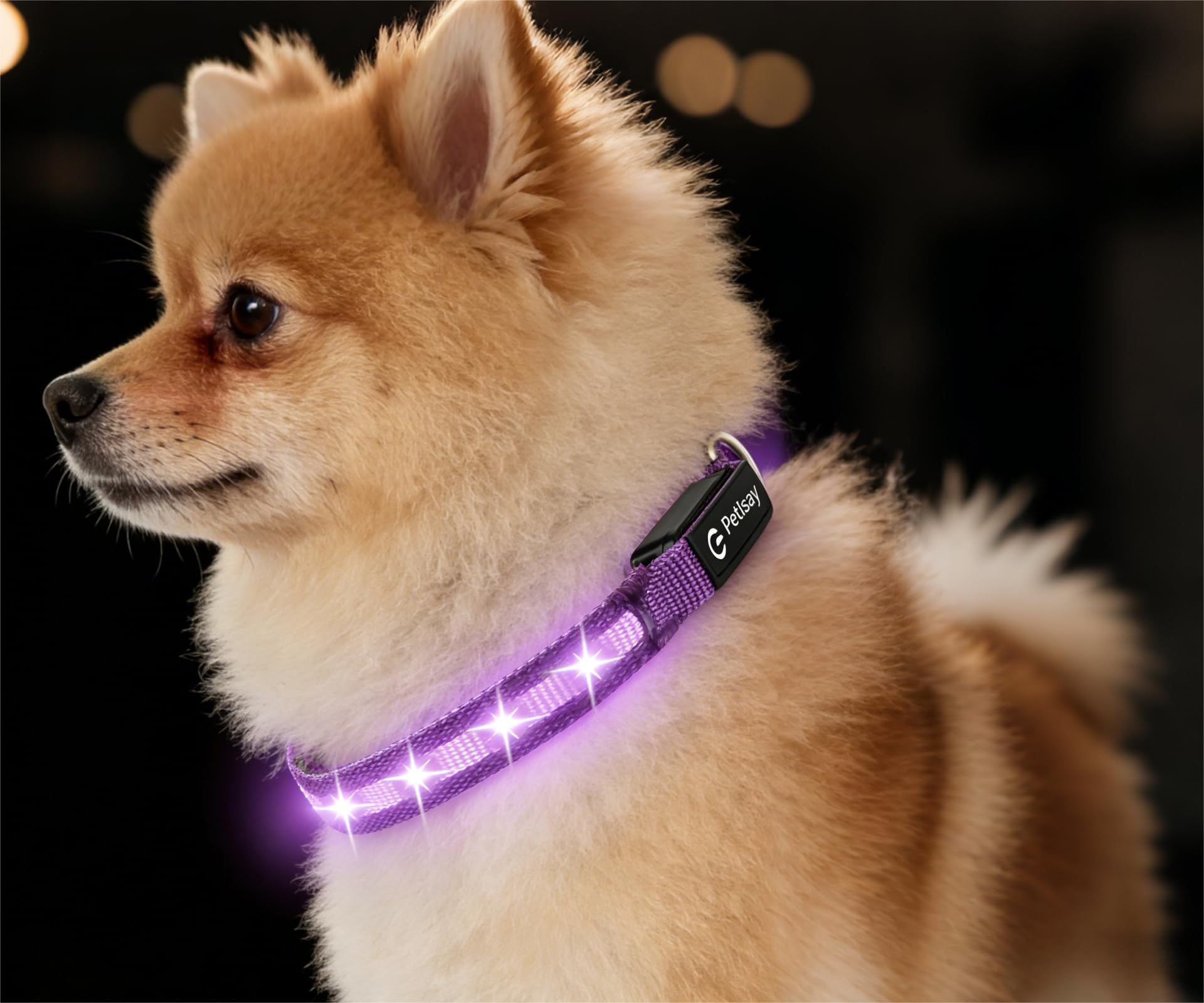 LED Dog Collar for Small Dogs Cats - Fully Waterproof & Adjustable Glow Collar - USB-C Rechargeable for Night Walking, Safety - 