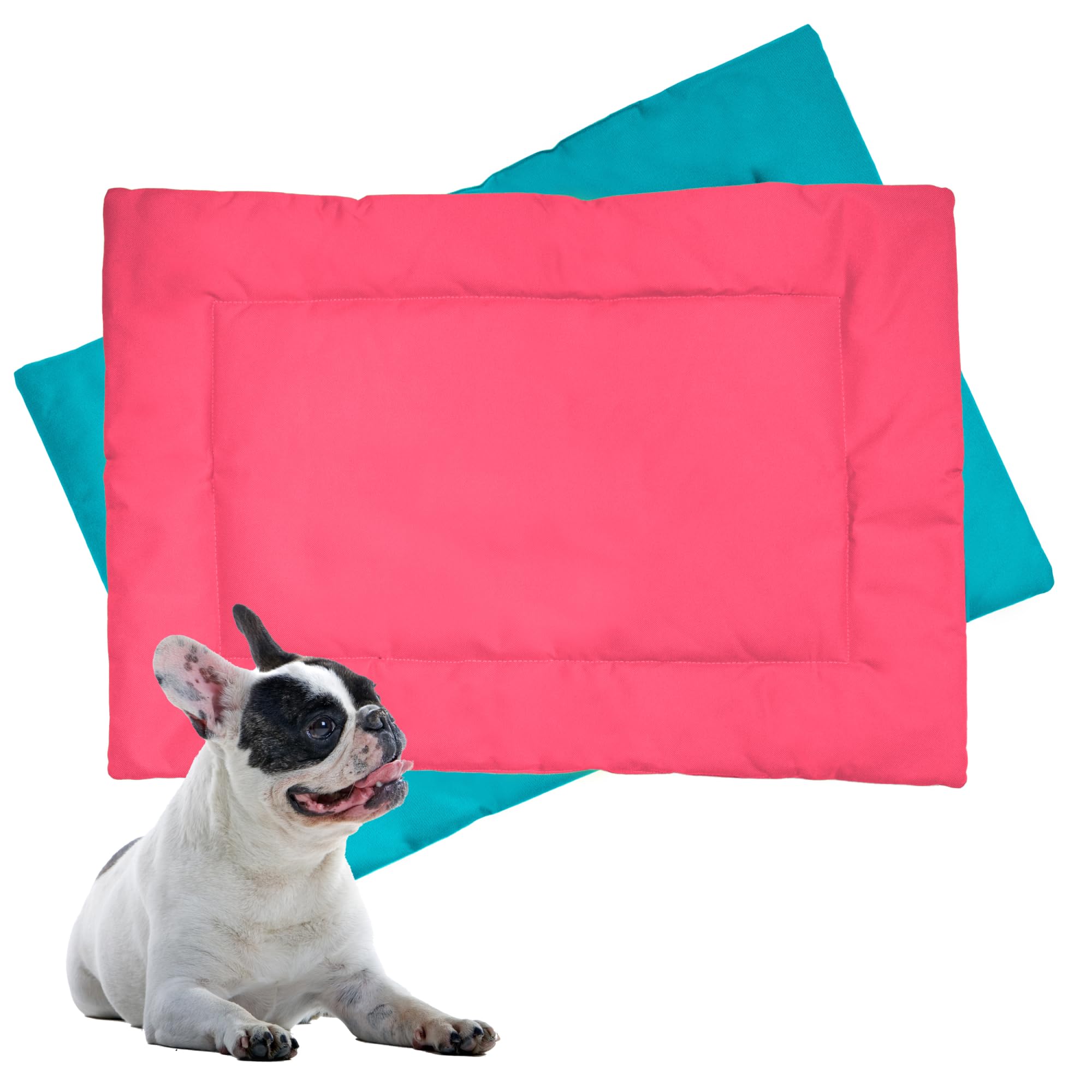 Downtown Pet Supply Dog Crate Pad, 24'' X 18'' - Waterproof, Ripstop Nylon Dog Crate Mat Chew Proof And Machine Washable - Blue 