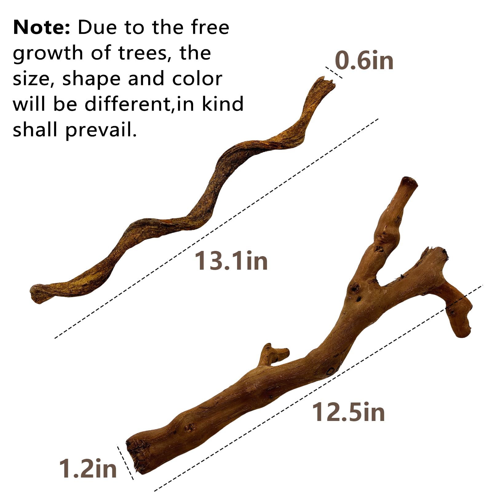 BNOSDM 2PCS Reptile Wood Branches, Snake Climbing Branch, Bearded Dragon Climbing Accessories, Lizard Habitat Decor, Terrarium T