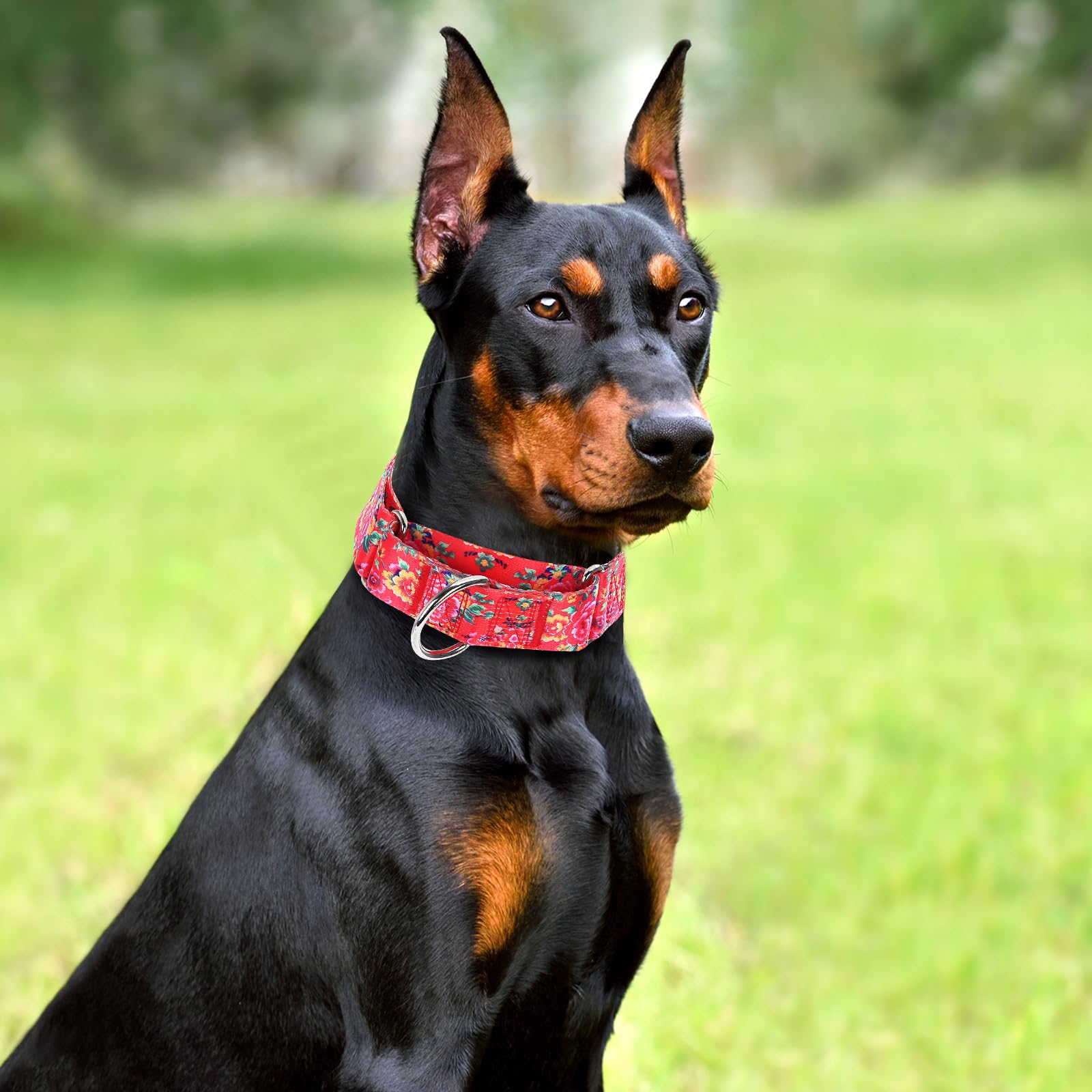Martingale Collar For Dogs 1.5 Inch Wide,Red Floral No Pull Heavy Duty Dog Collar For Medium Large Extra Large Dogs L