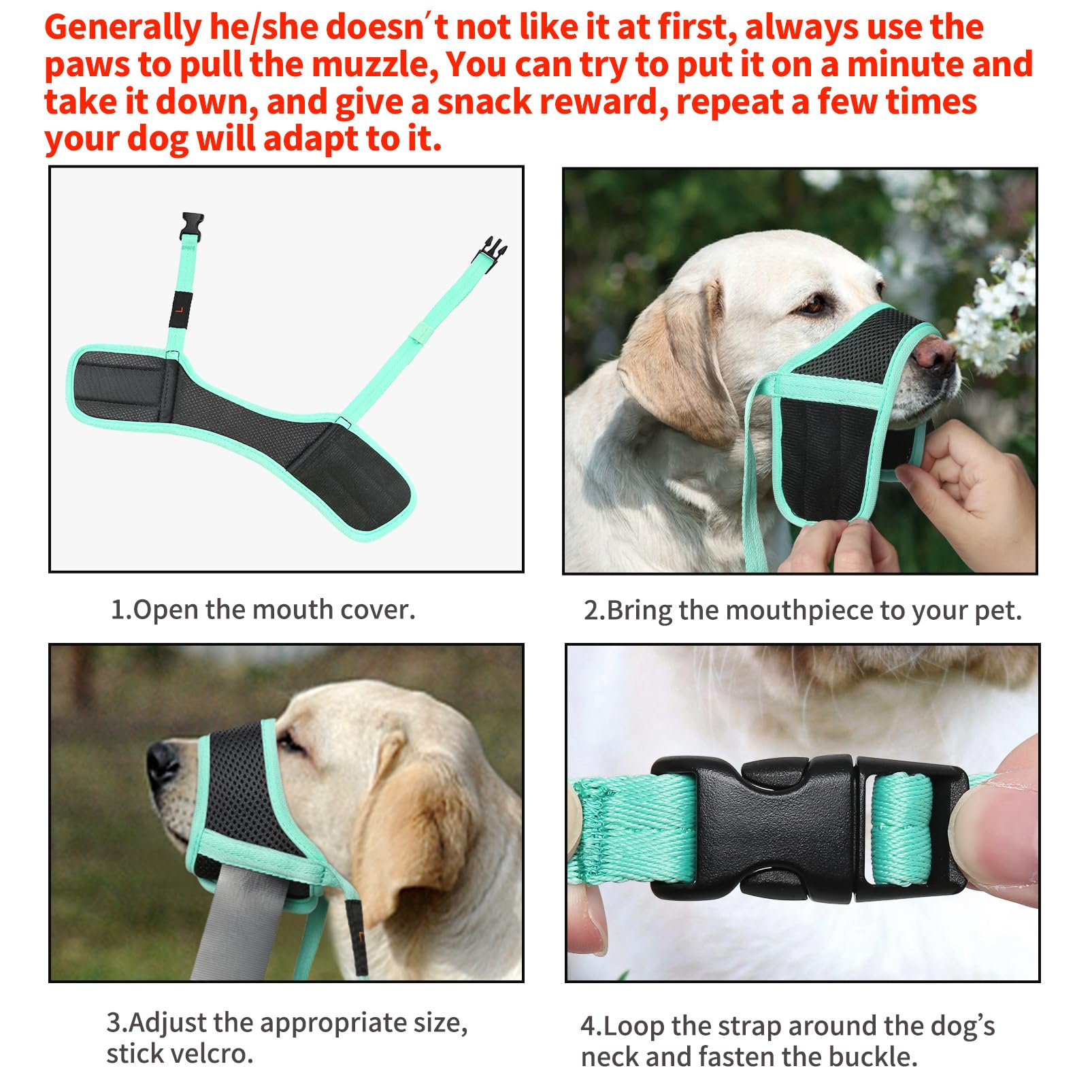 HEELE Dog Muzzle,Soft Nylon Muzzle Anti Biting Barking Chewing,Air Mesh Breathable Drinkable Adjustable Loop Pets Muzzle for Small Medium Large Dogs 4 Colors 4 Sizes (New Green, M) -Like New