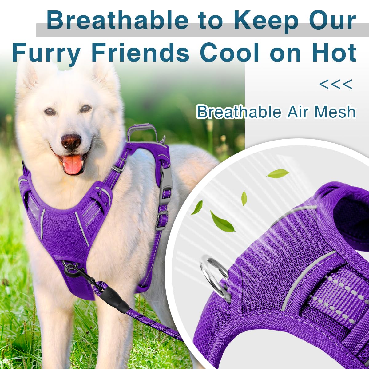 Barkbay Dog Harness No Pull With Id Tag Pocket - Heavy Duty, Reflective, Easy Control For Large Dogs (Purple,S)