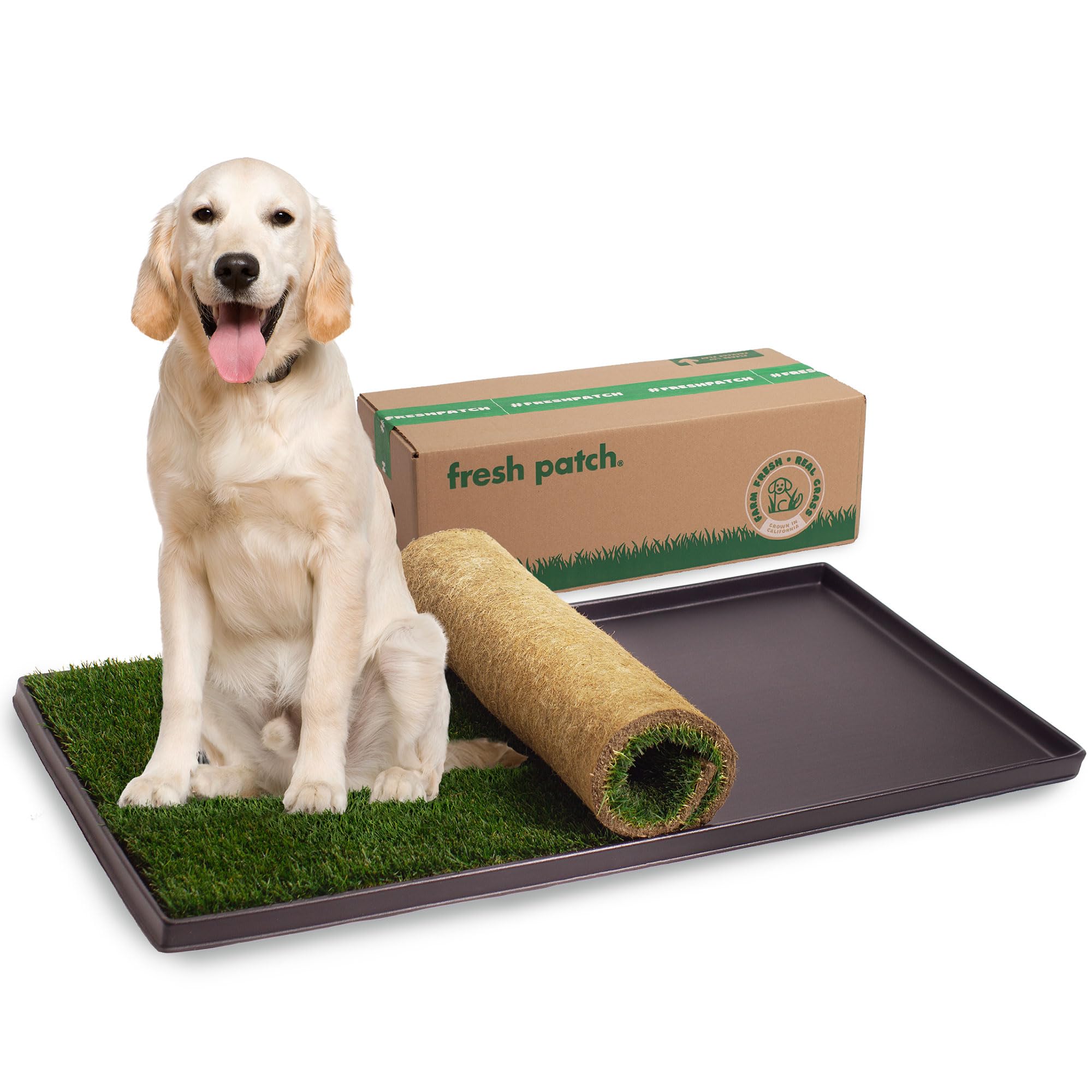 Fresh Patch Real Grass Patch For Dogs, Cats, And Extra Large Pets 30 Pounds And Above - Disposable Pet Grass Pee Pads With Tray 